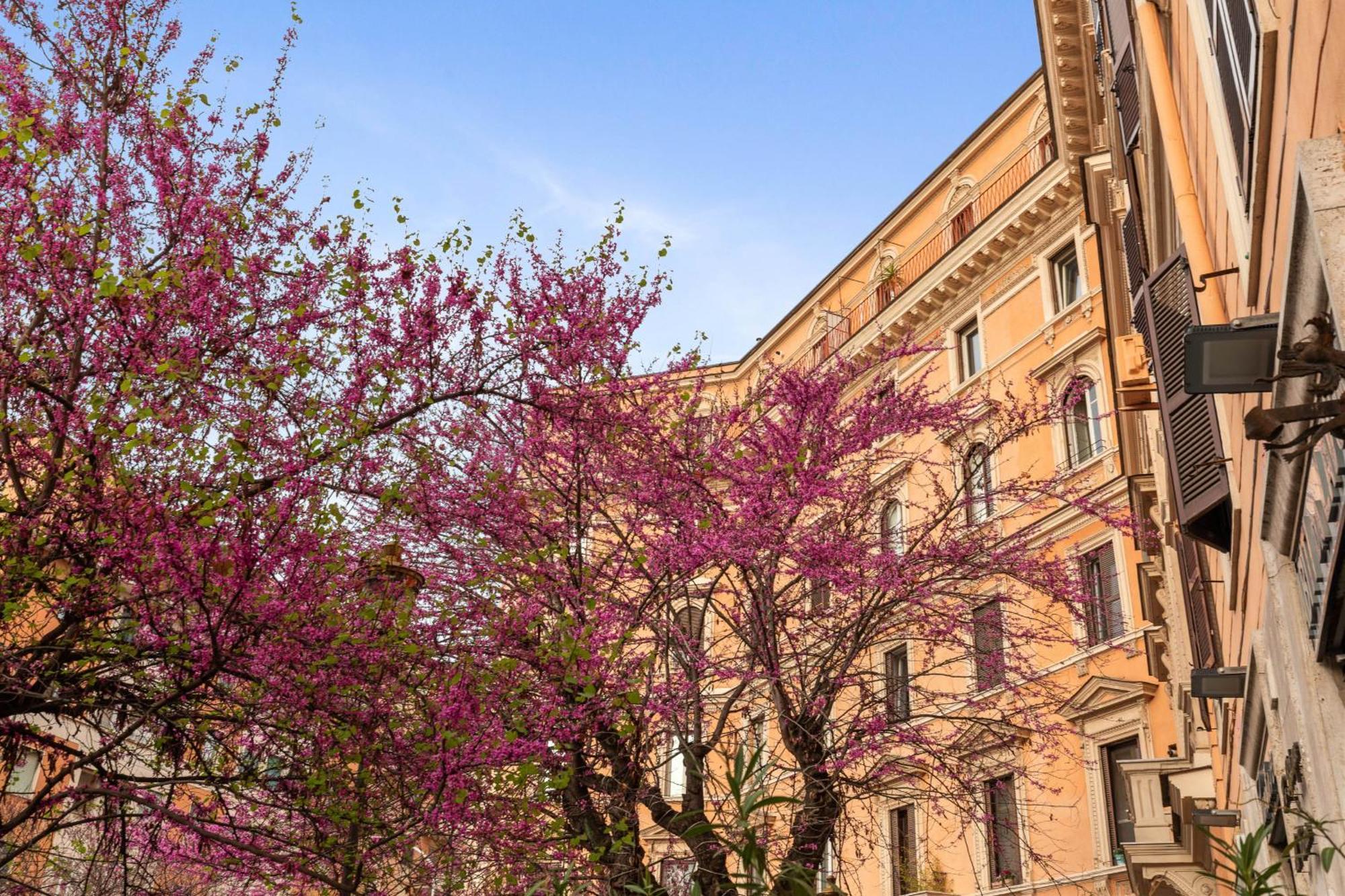 Apartamento Termini Station Lightsome 3br Roma