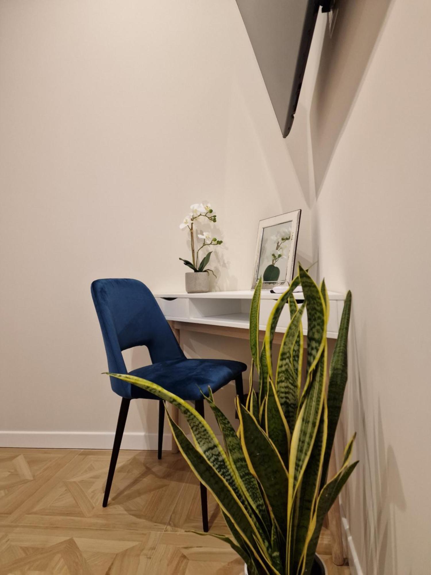 Apartment Vacanze Romane - Vatican Rome
