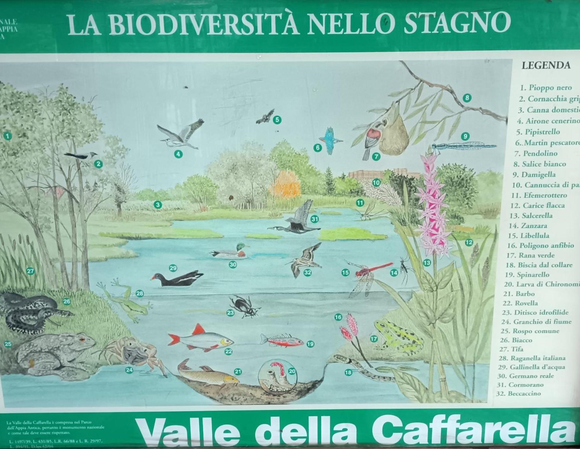 Casa Mia Metro A 100mt Roma