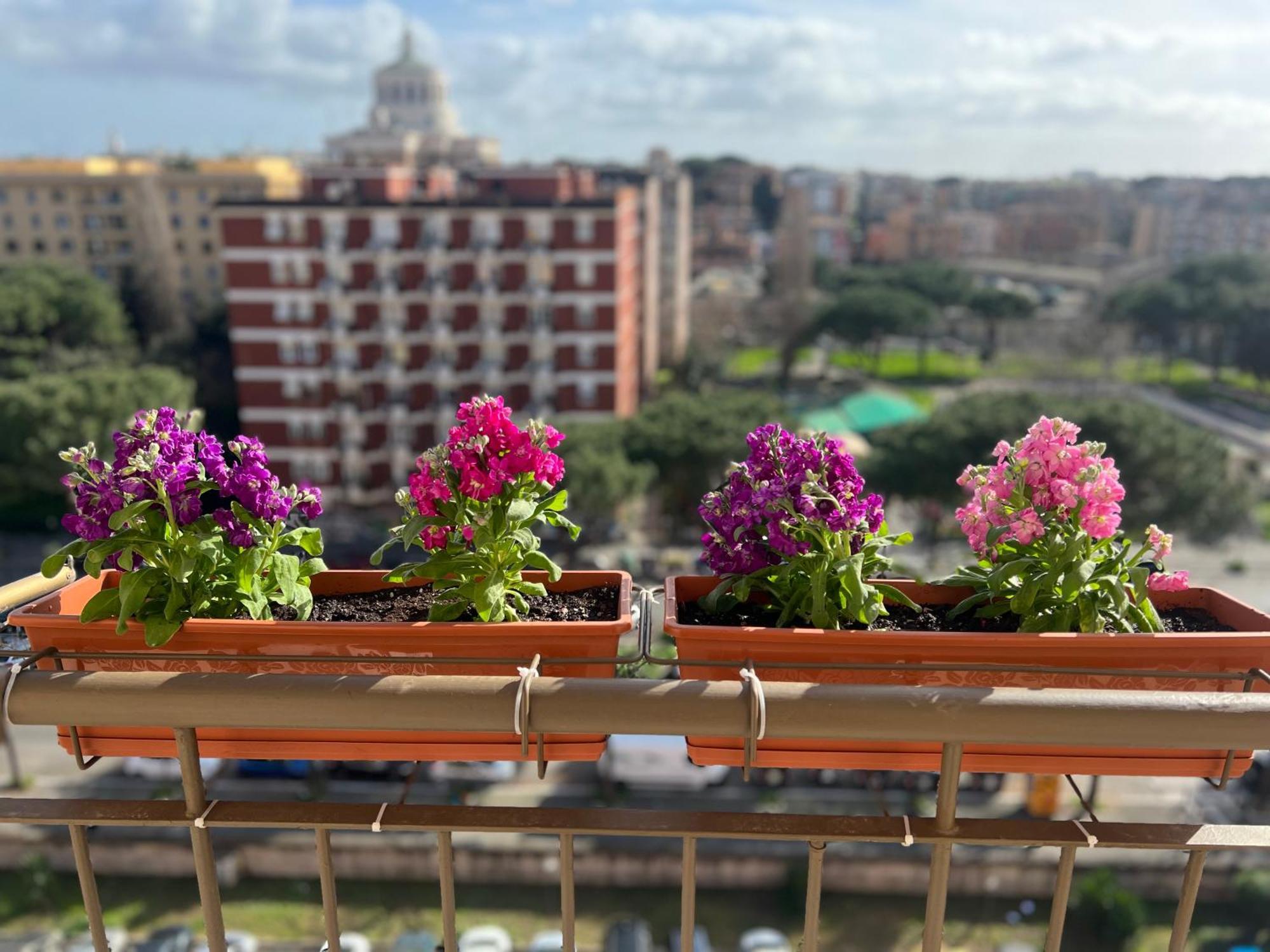 Sun House San Paolo Rom