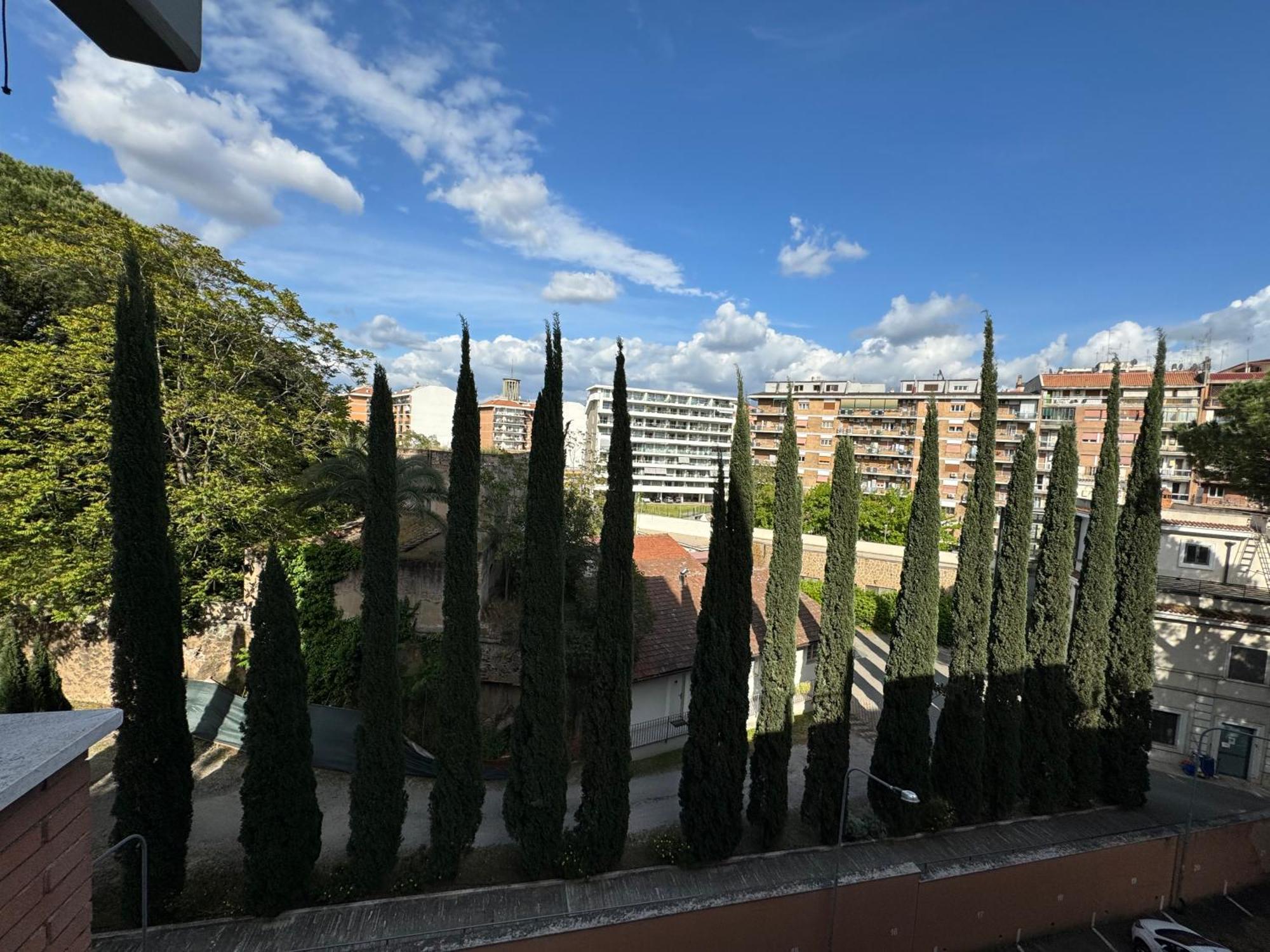 Elegant Apartamento