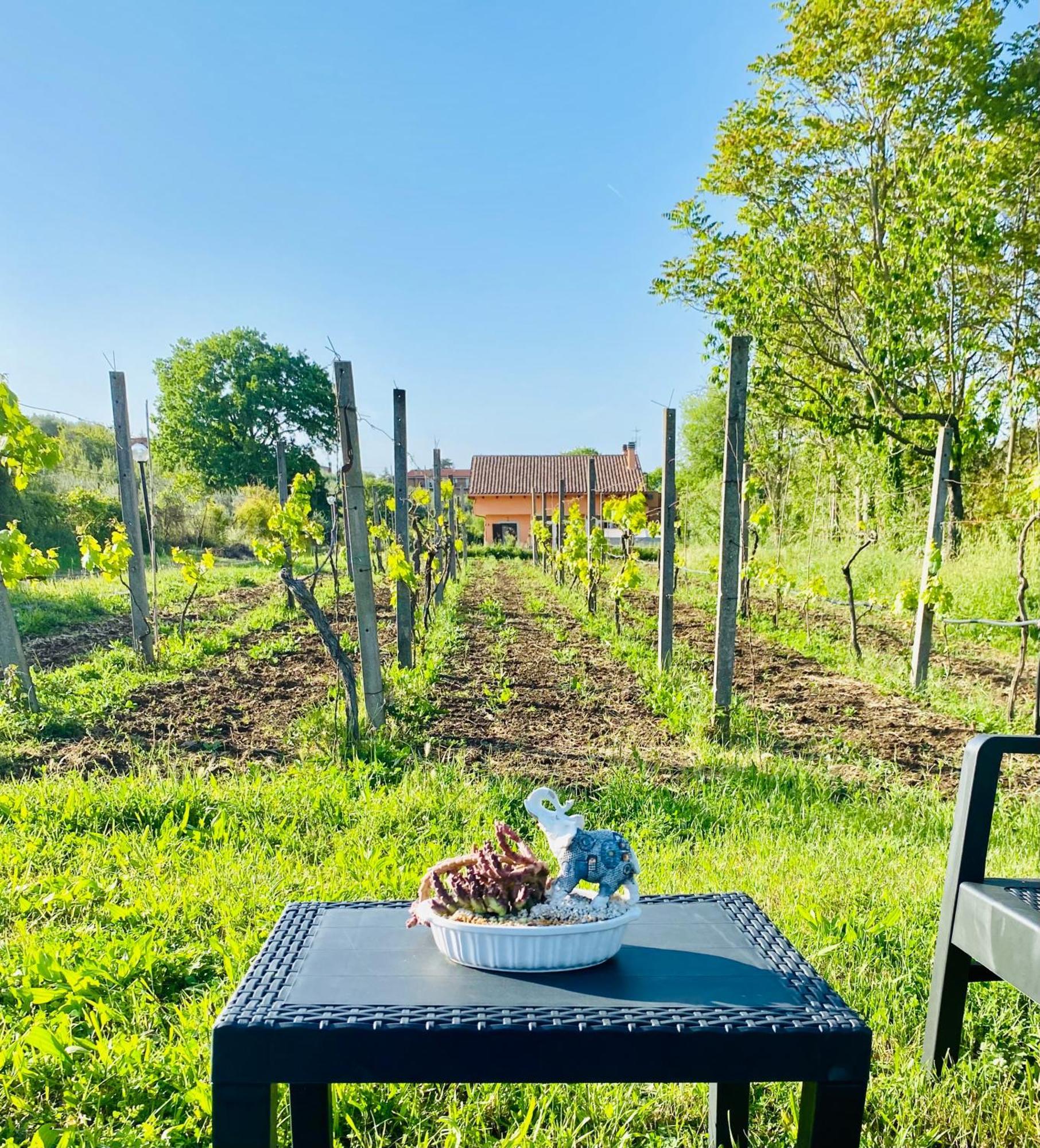 Casa vacanze Bubù, Country-chic *