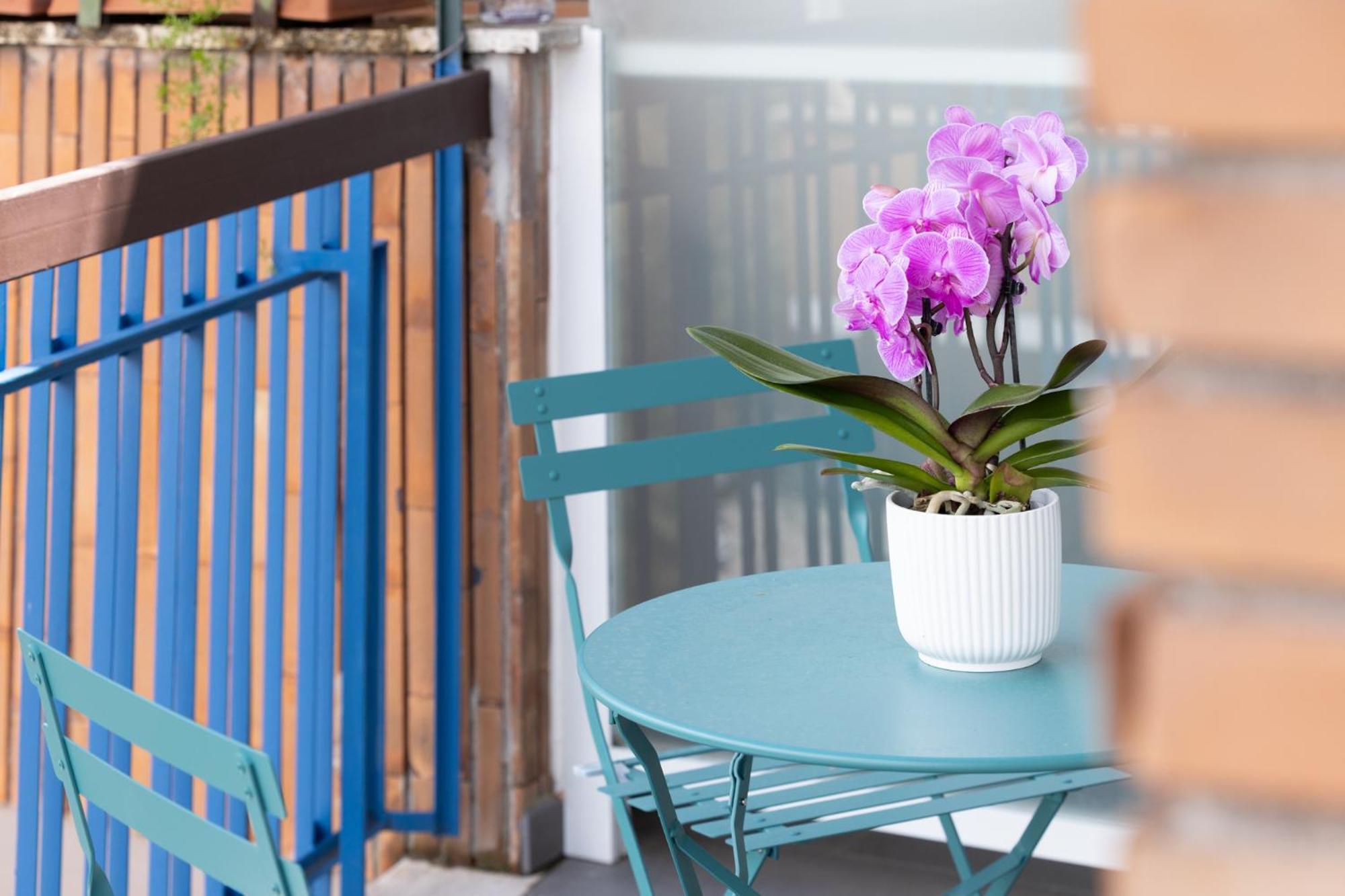 Affittacamere Zaccardi Roof Garden *