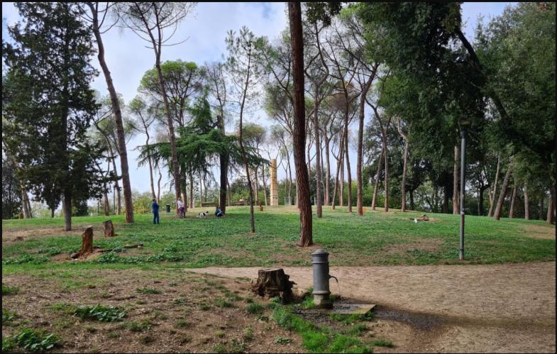 Incantevole Nel Parco Dell'aniene! Appartamento