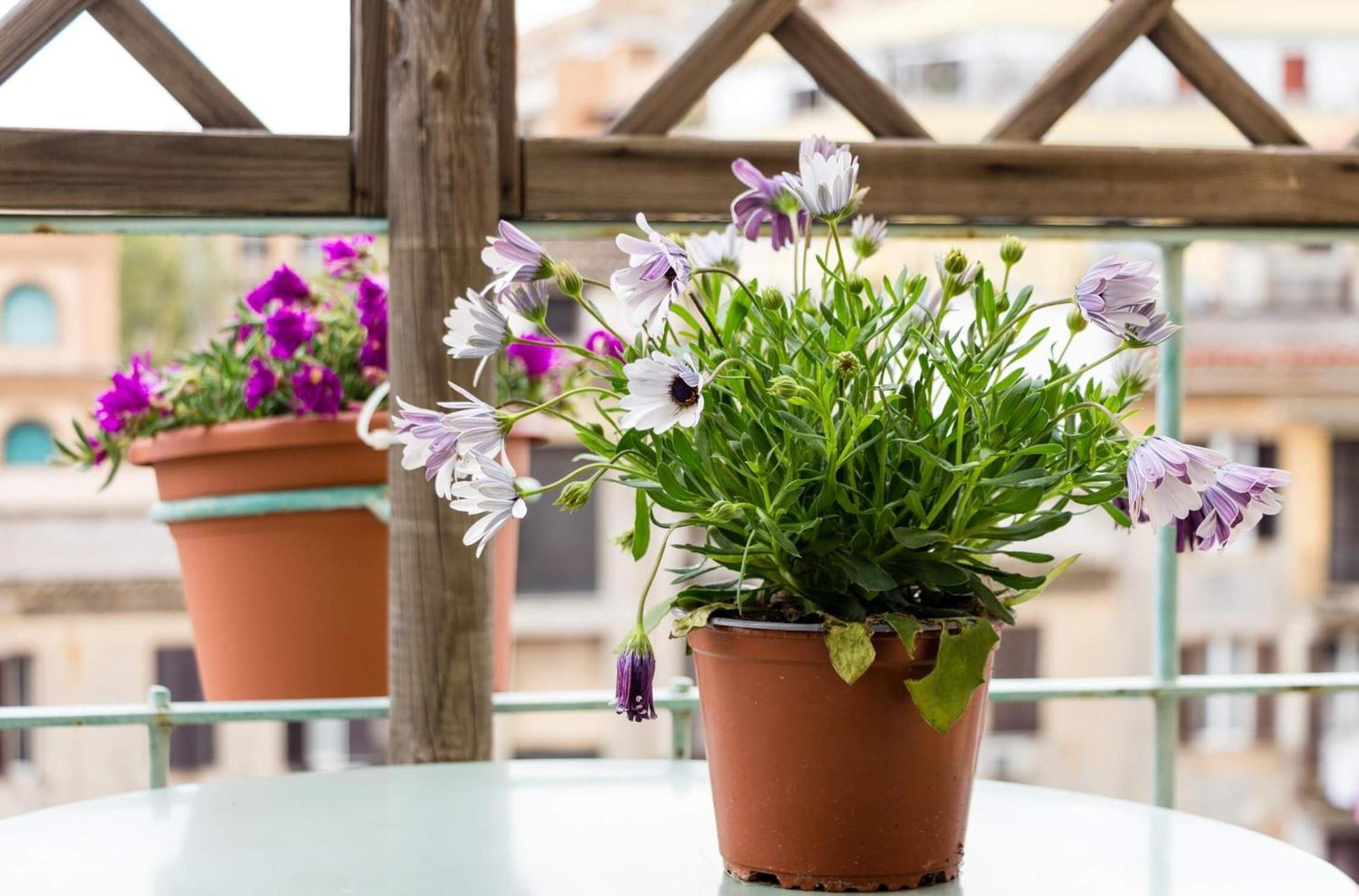 Gasthof Torripa Group - Prati 3*