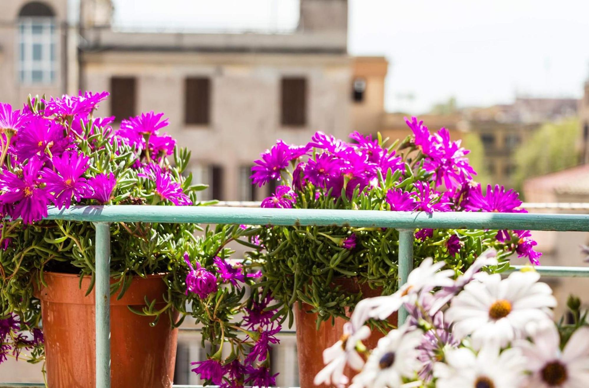 Torripa Group - Prati 3* Rom