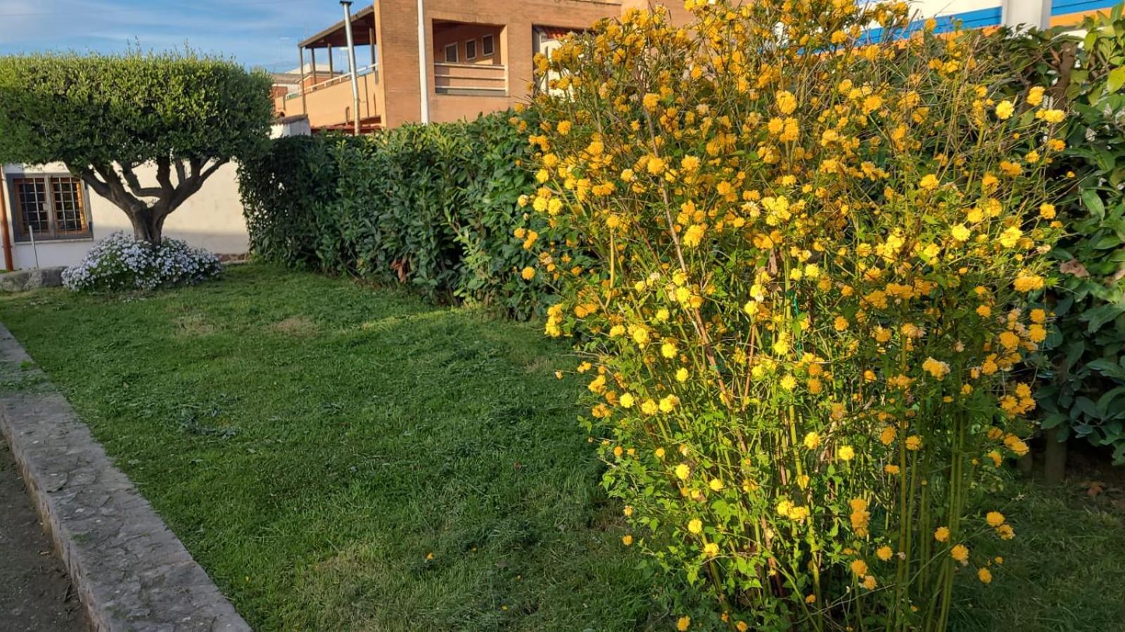 Feriehus Casetta Delle Fiabe Roma