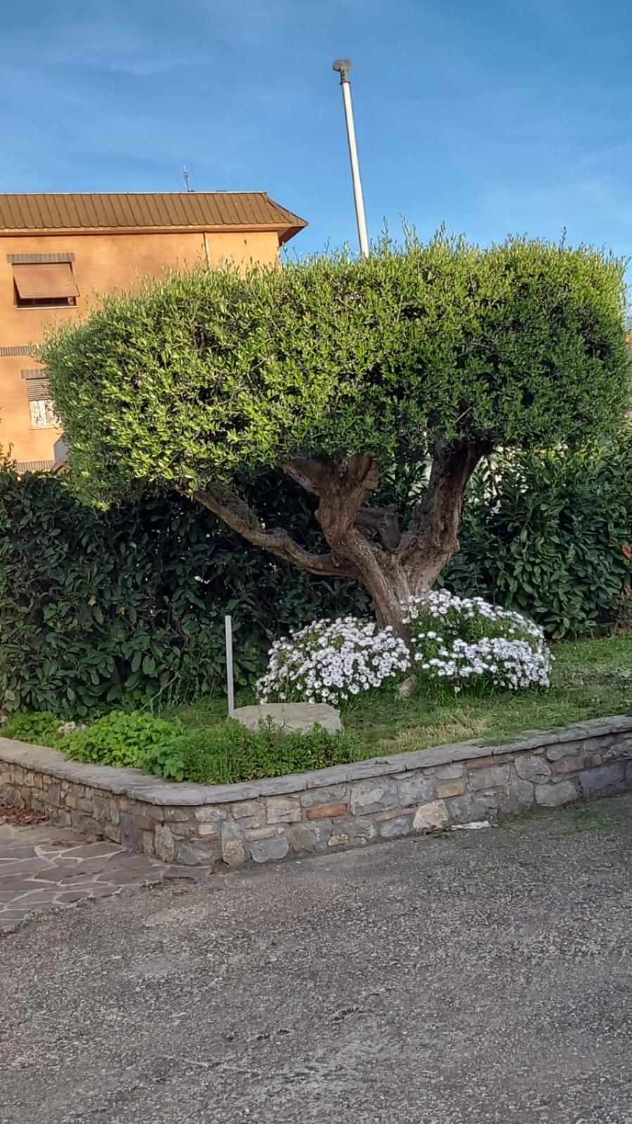 Feriehus Casetta Delle Fiabe