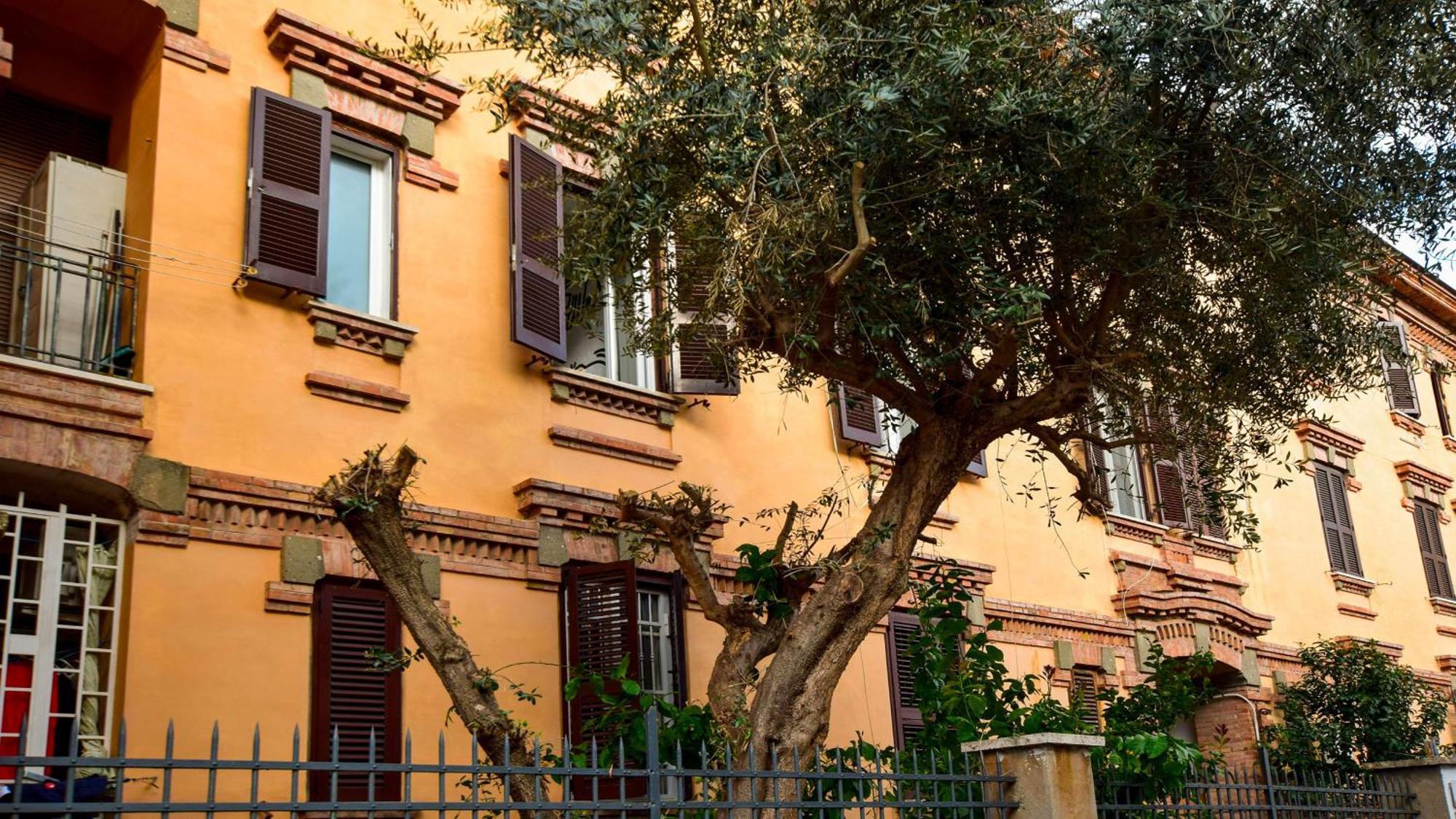 Apartamento Saba *