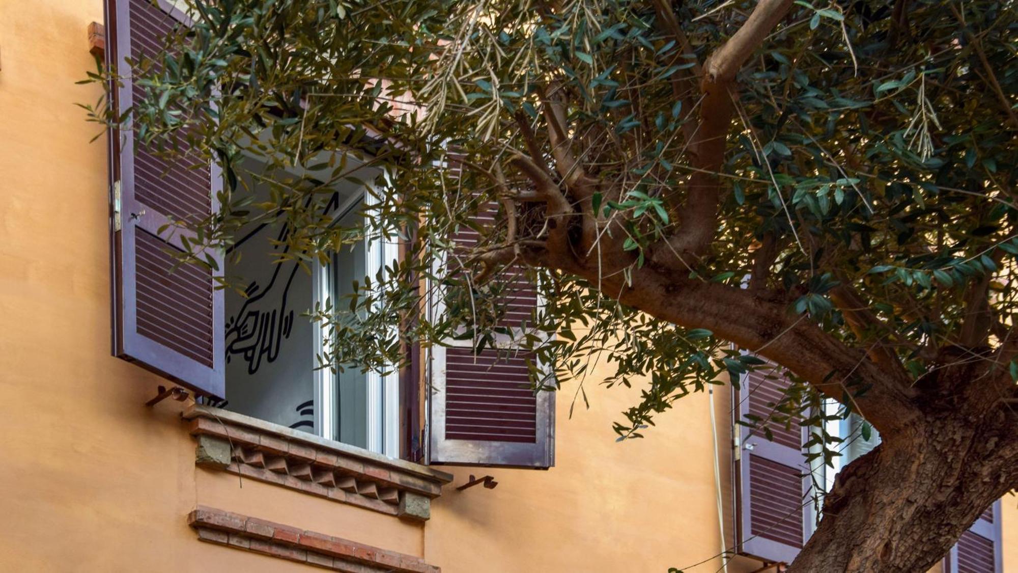 Saba Roma