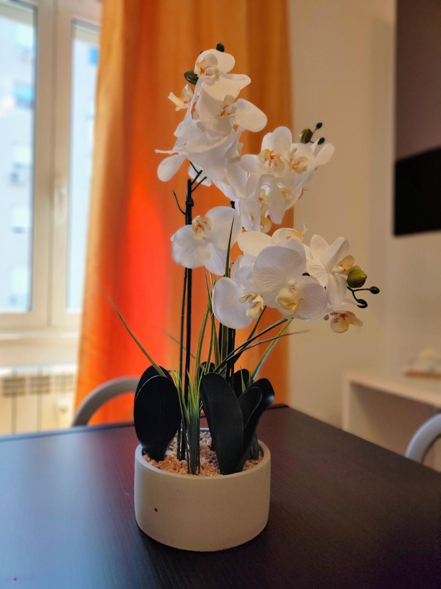 Casa Marconi Roma