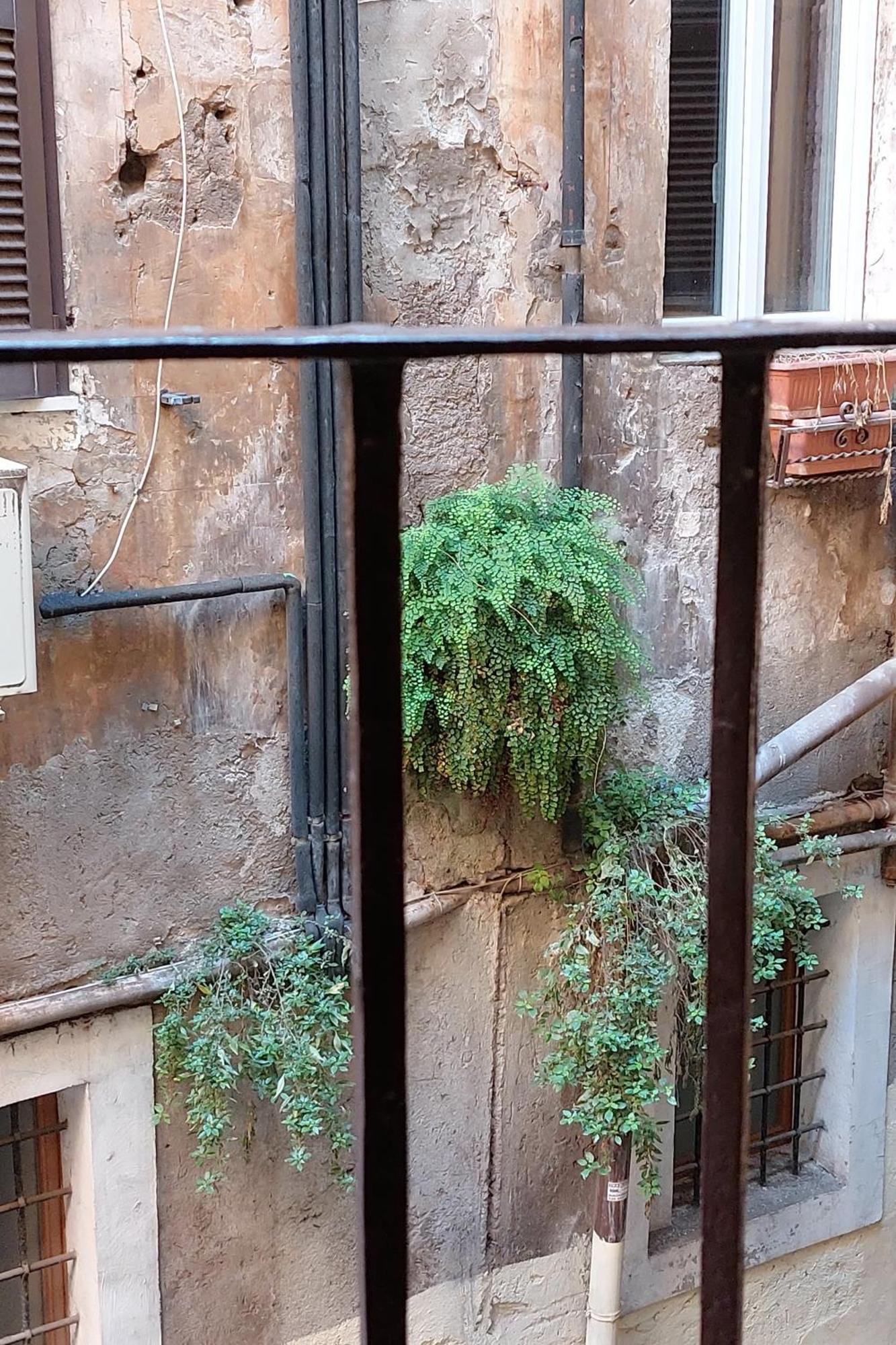 Apartamento Cappellari37 *
