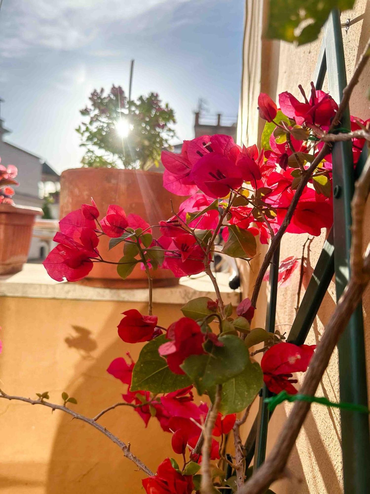 Appartamento Lovely Panoramic