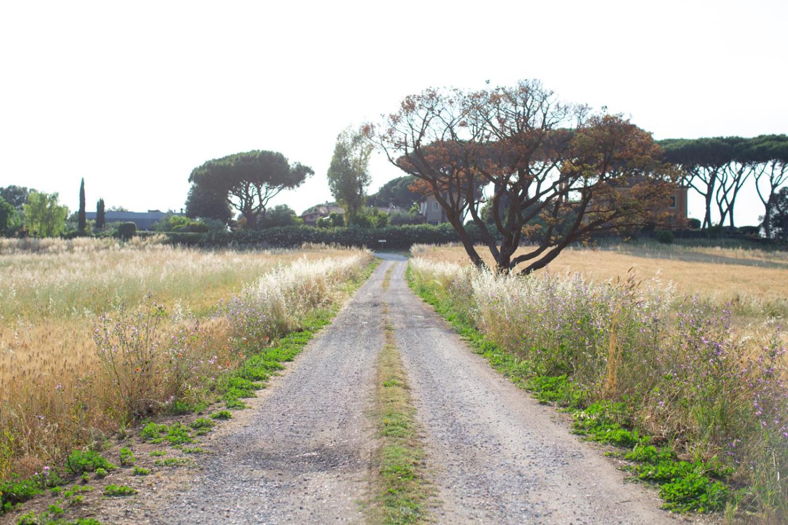 Aparthotel Tenuta Capizucchi