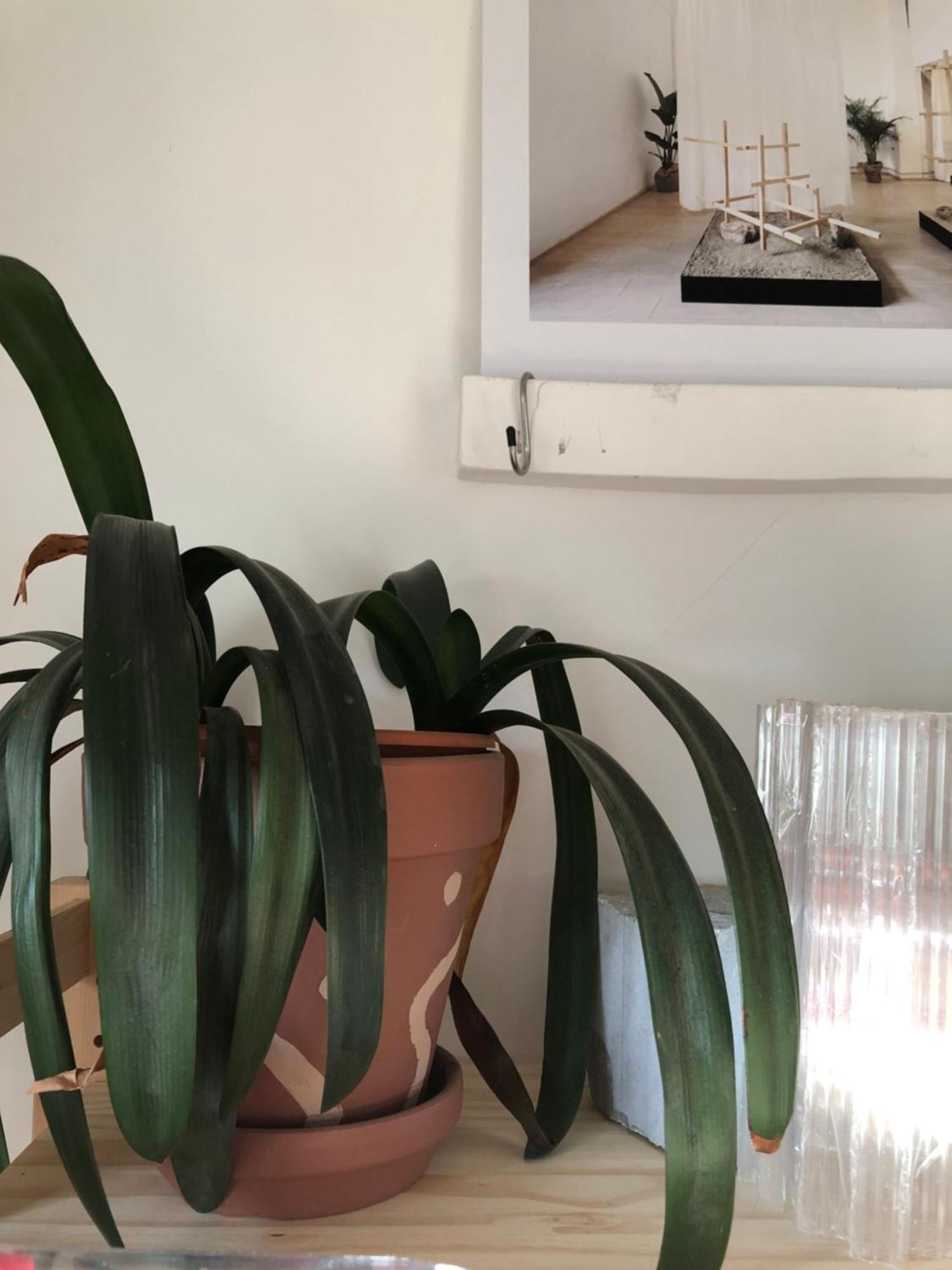 Ozio Apartamento *