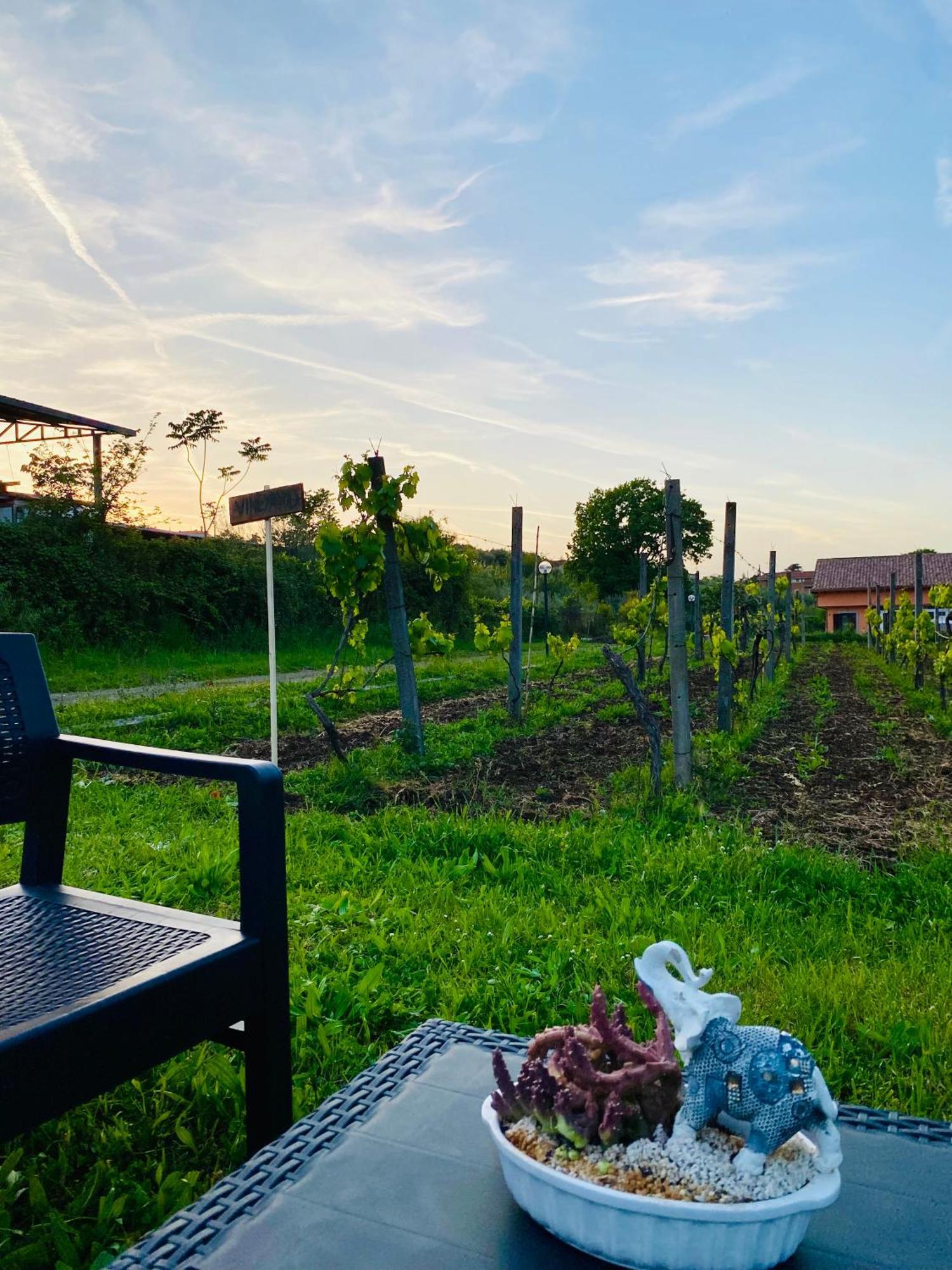 Casa vacanze Bubù, Country-chic