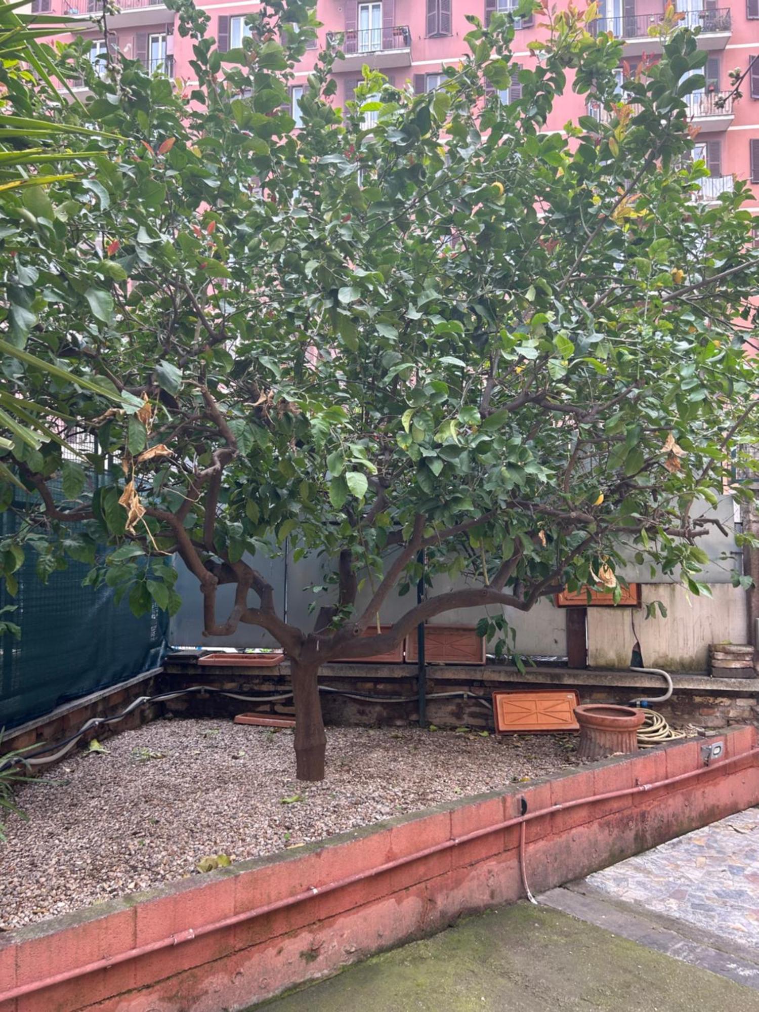 Morgana Casa vacanze Roma
