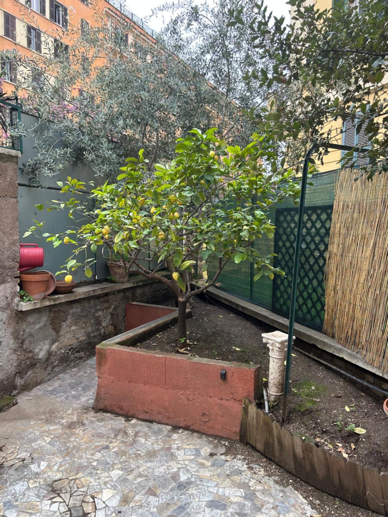Casa vacanze Morgana