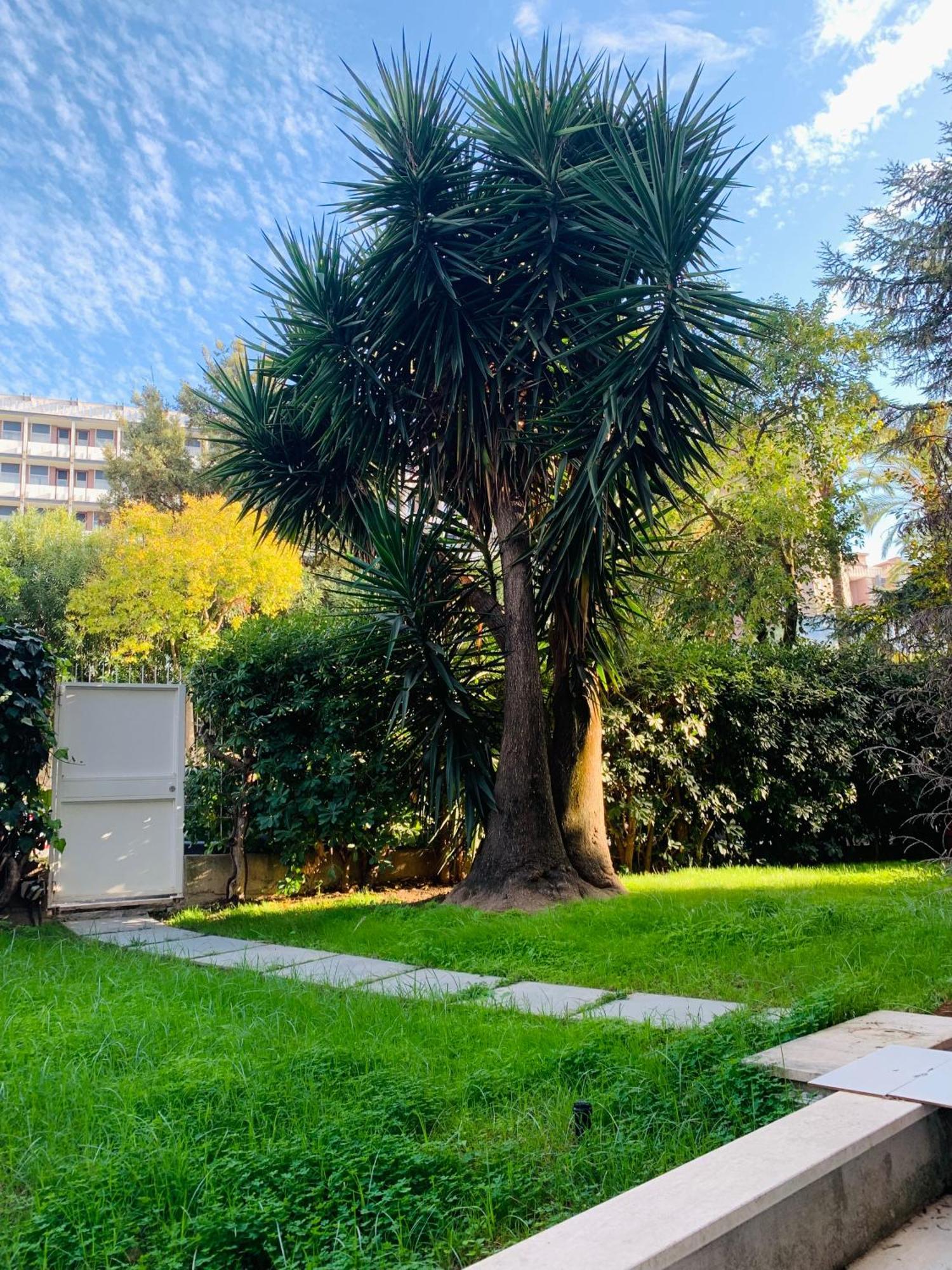 Casa Proto - Garden Affittacamere Roma