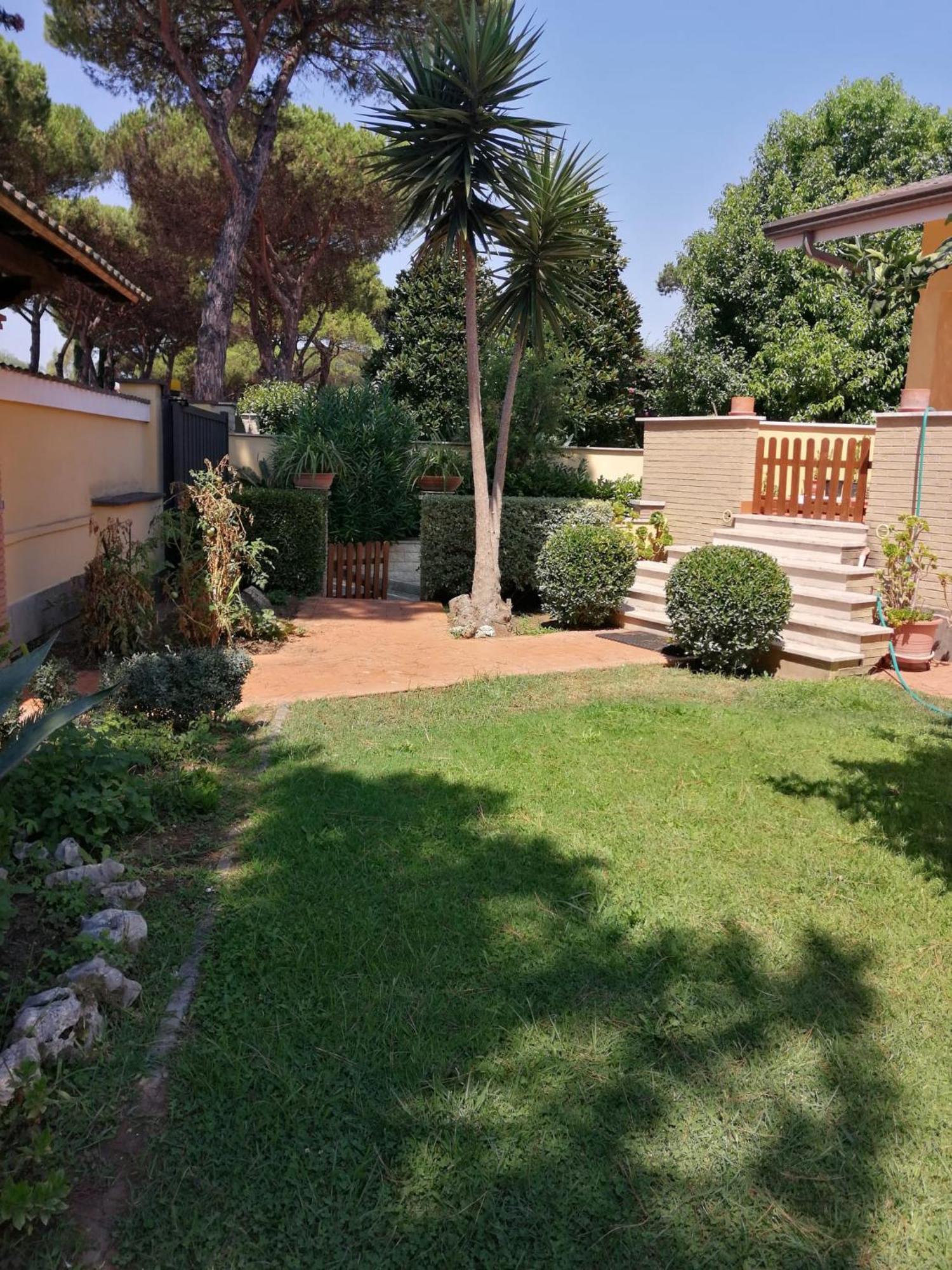 Appartamento Indipendente In Grande *