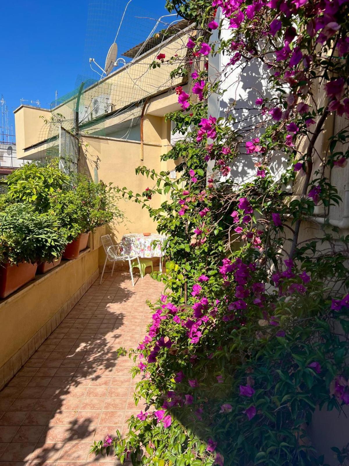 Apartment Le Buganville