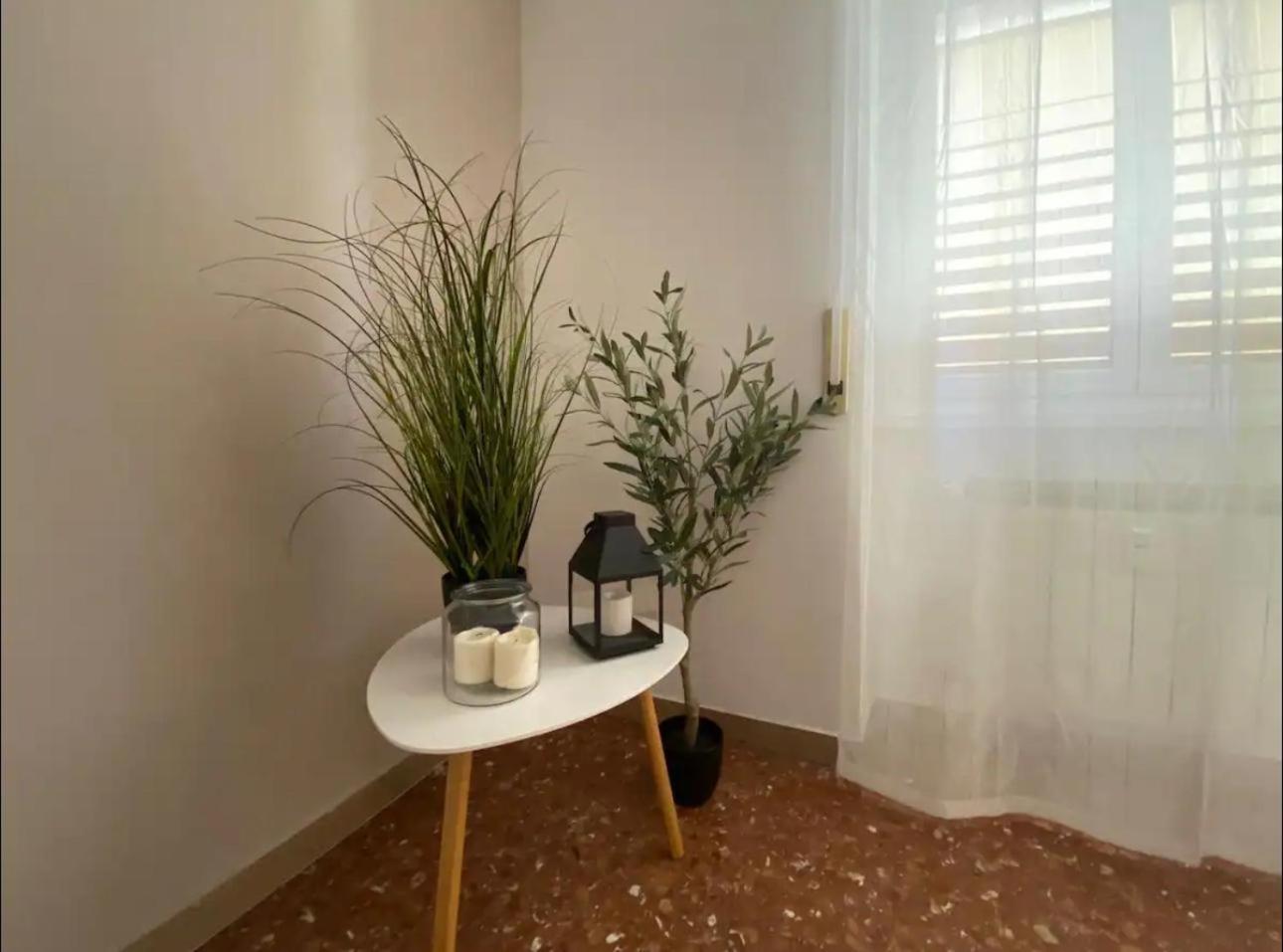 Fuffy House Roma