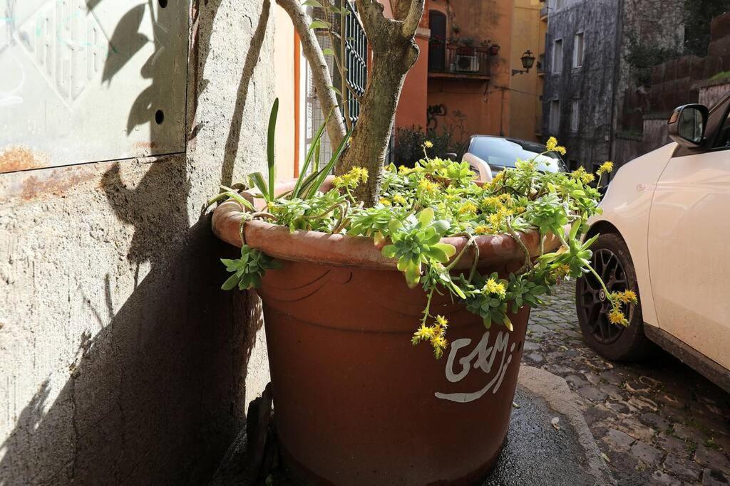 Navona Wooow 5 Minutes Walk Apartamento Roma