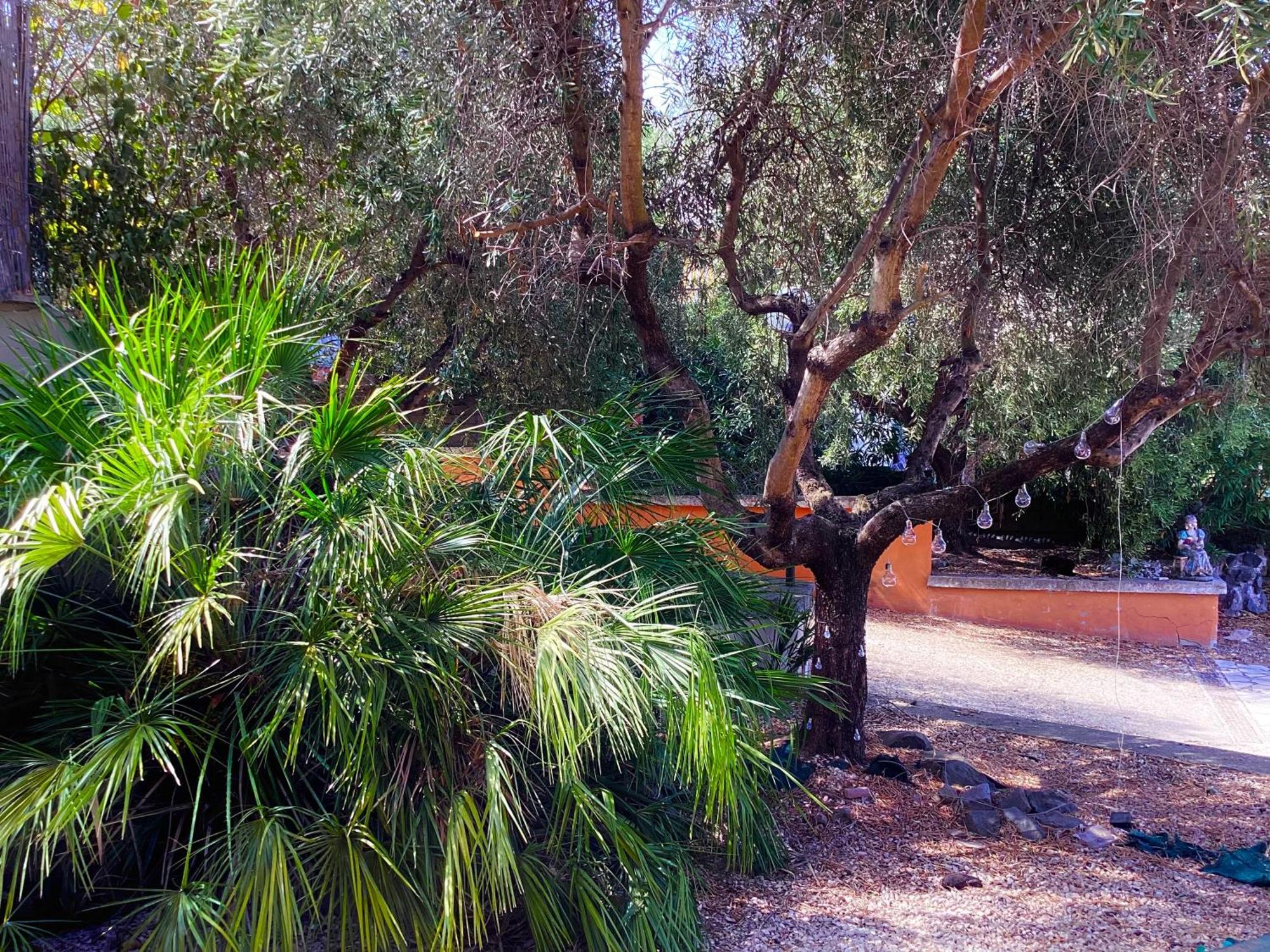 Holiday home Locazione Turistica Dream House Marzia
