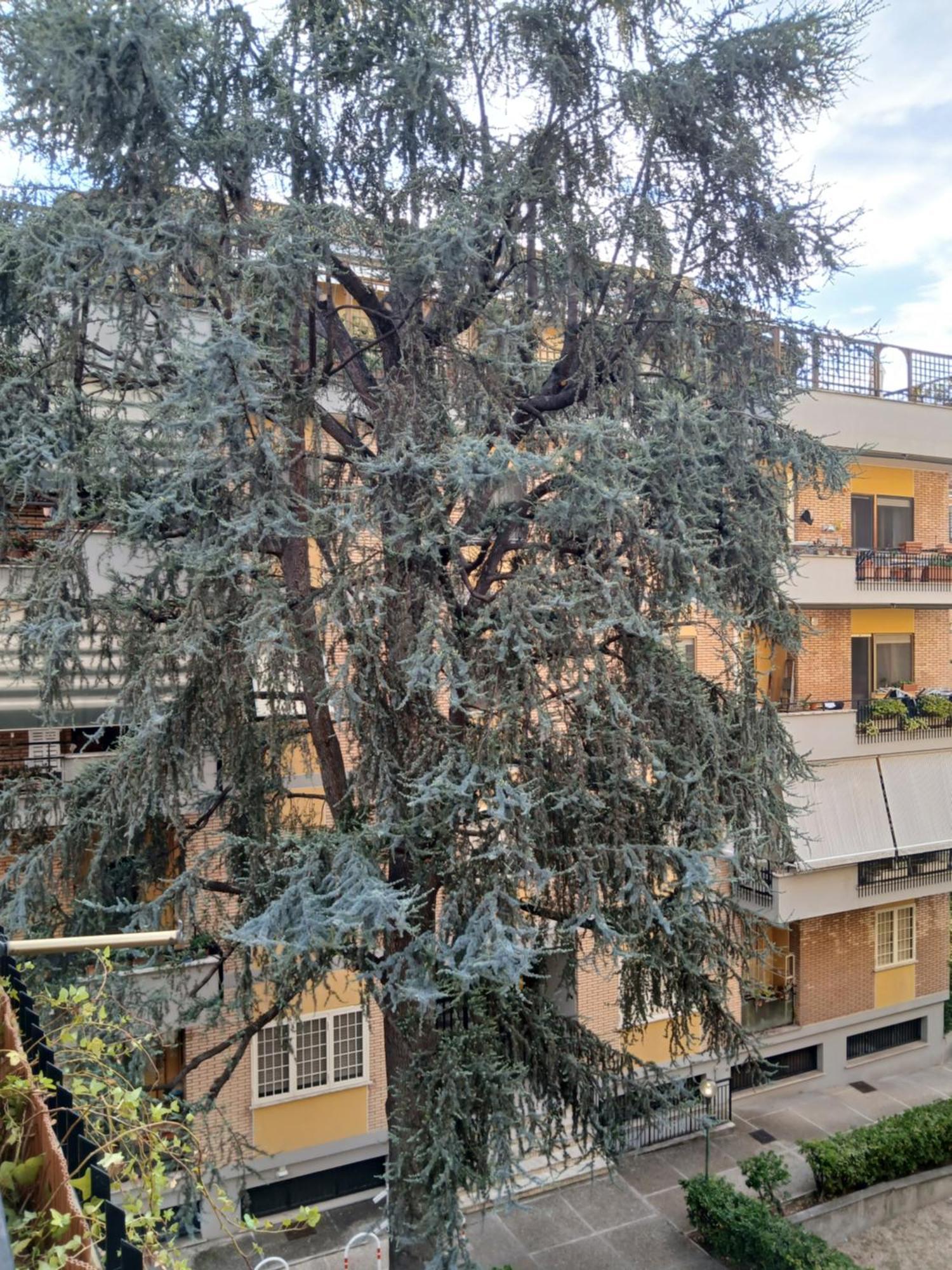 La Casa Di Antonella E Giuseppe * Roma