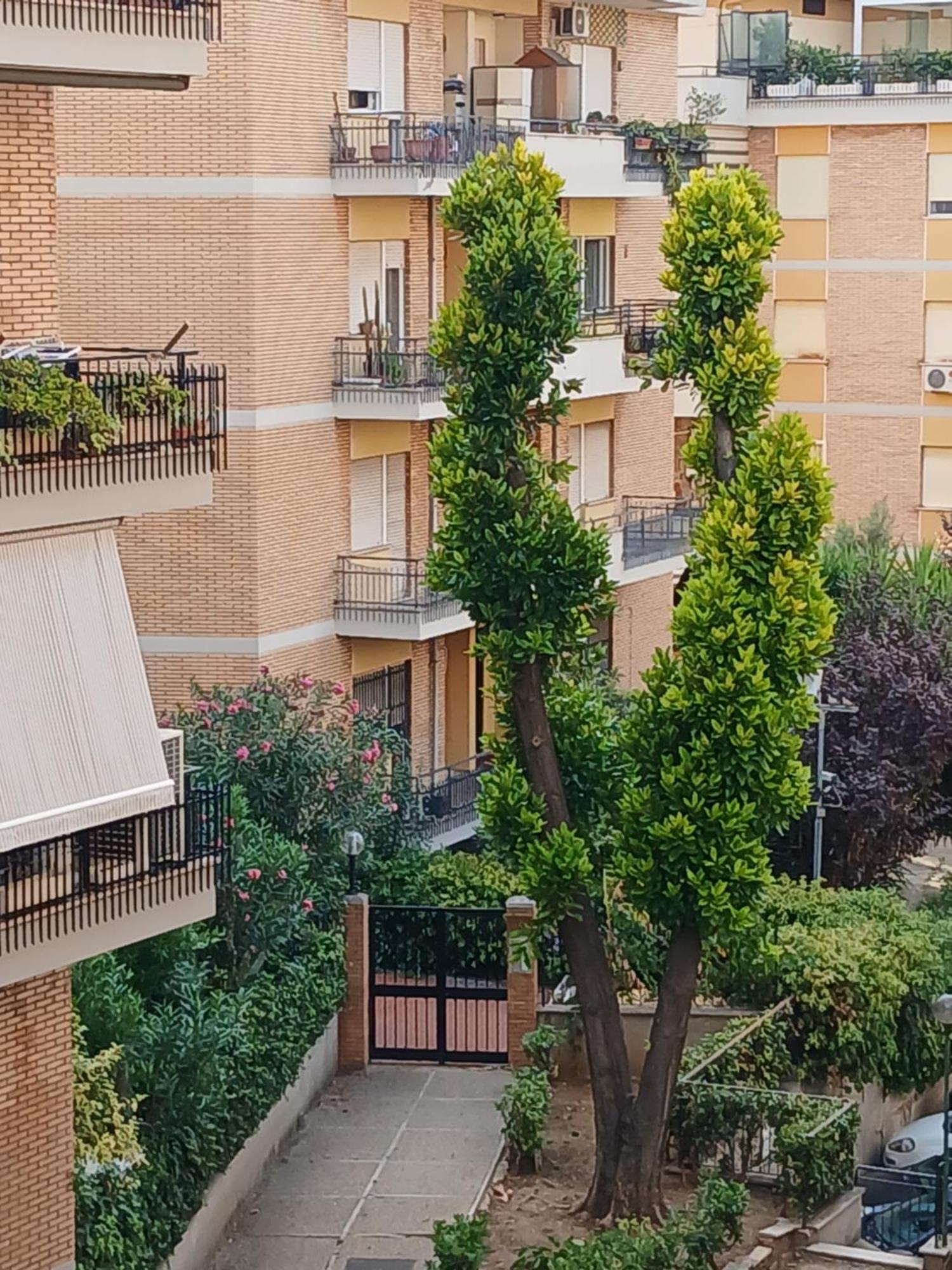 Appartamento La Casa Di Antonella E Giuseppe