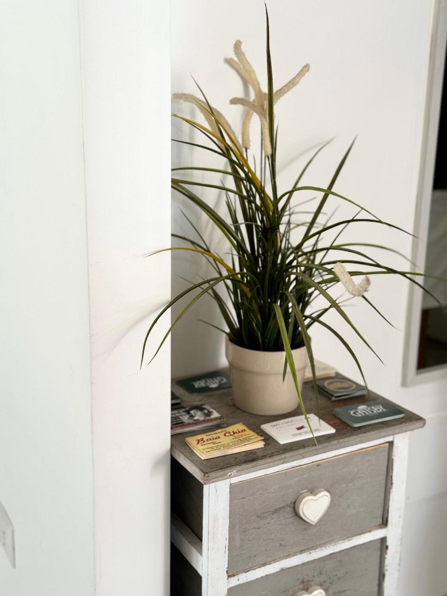 Casualsuite * Roma