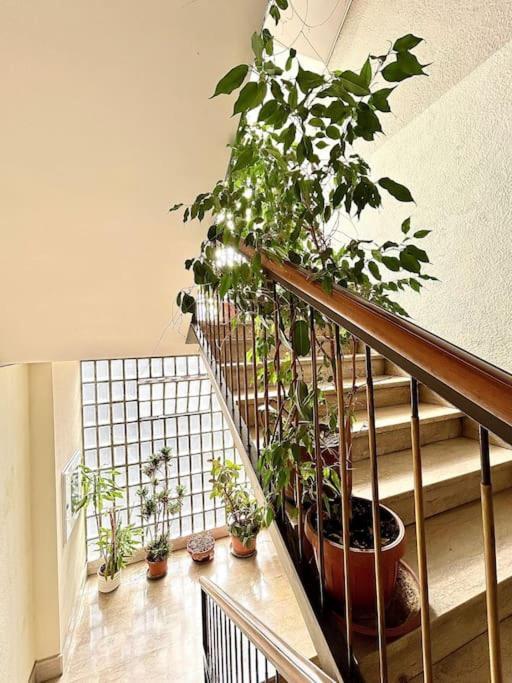Quarto em Acomodações Particulares Ostiense