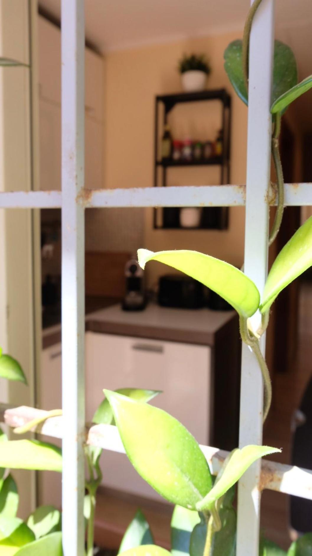 New! Station “termini” Loft Roma