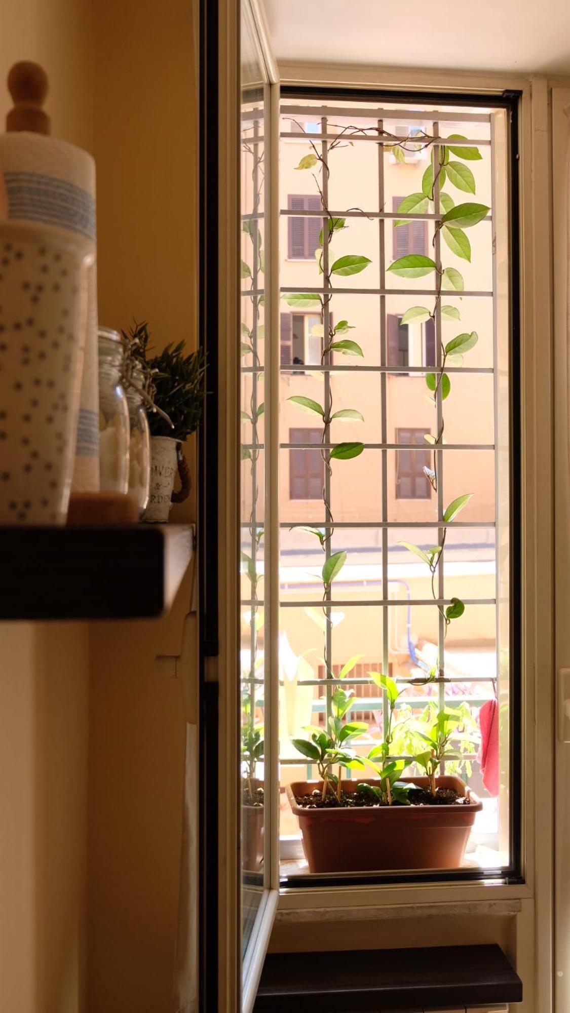 New! Station “termini” Loft Appartamento