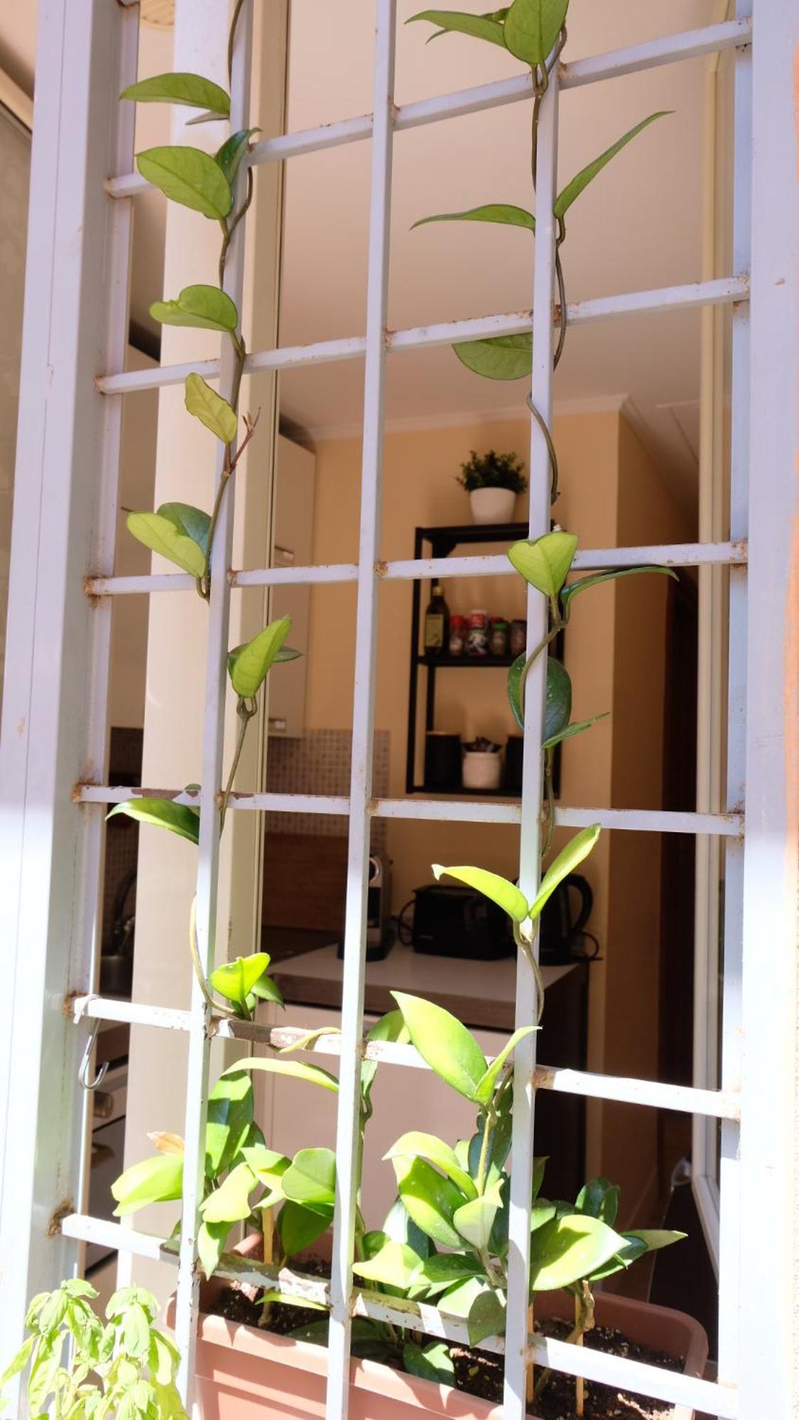New! Station “termini” Loft * Roma