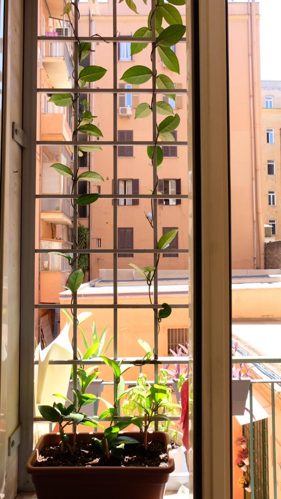 New! Station “termini” Loft