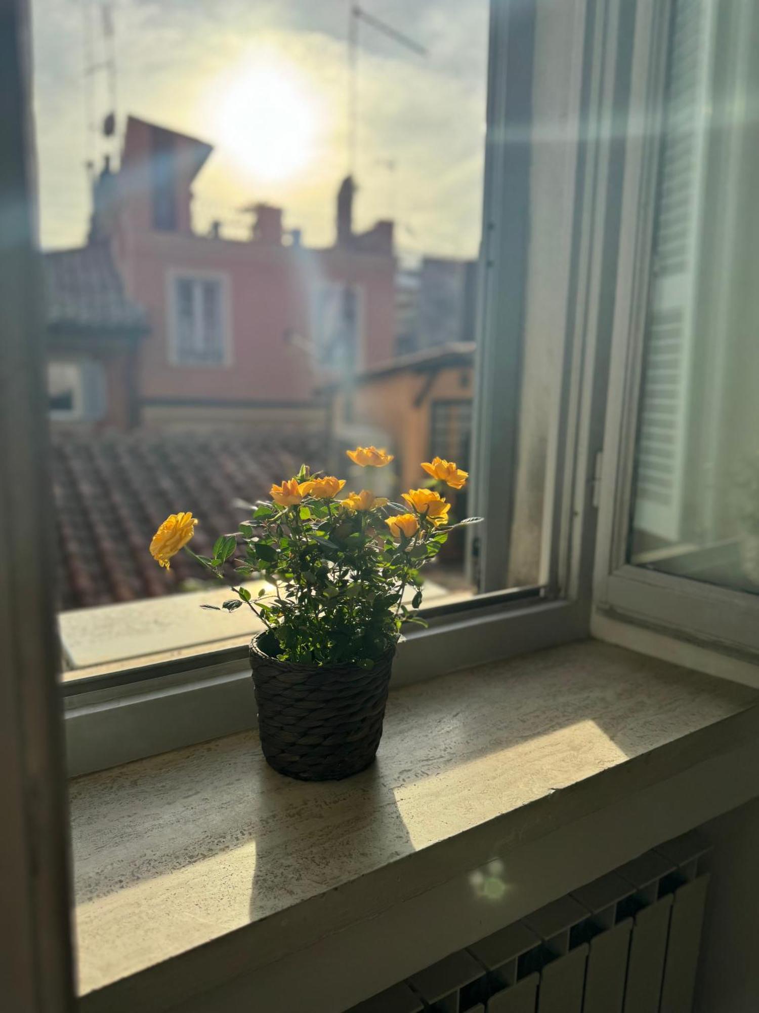 Ferienhaus Labanca's Luxury Navona *