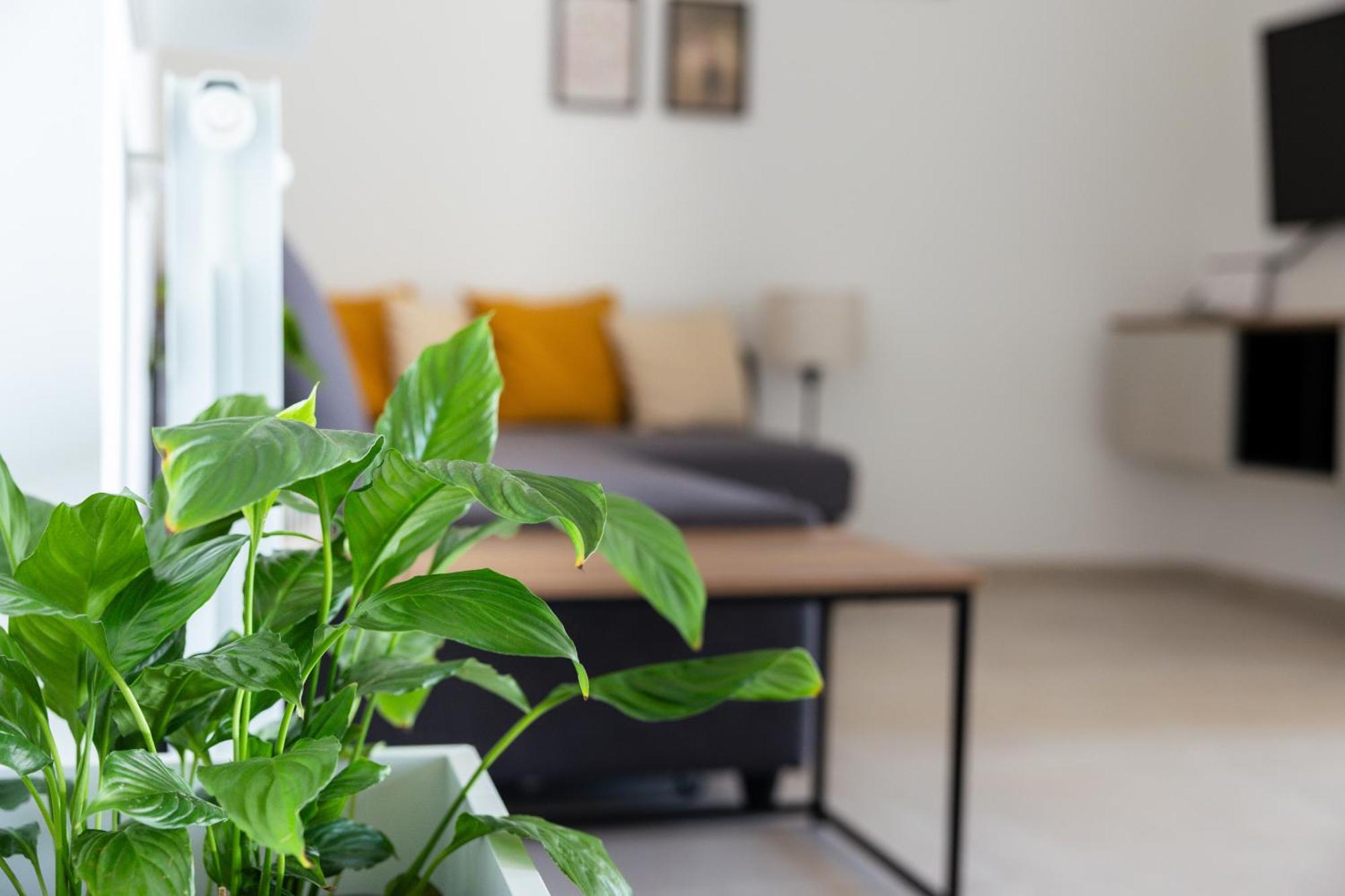 La Terrazza Apartamento