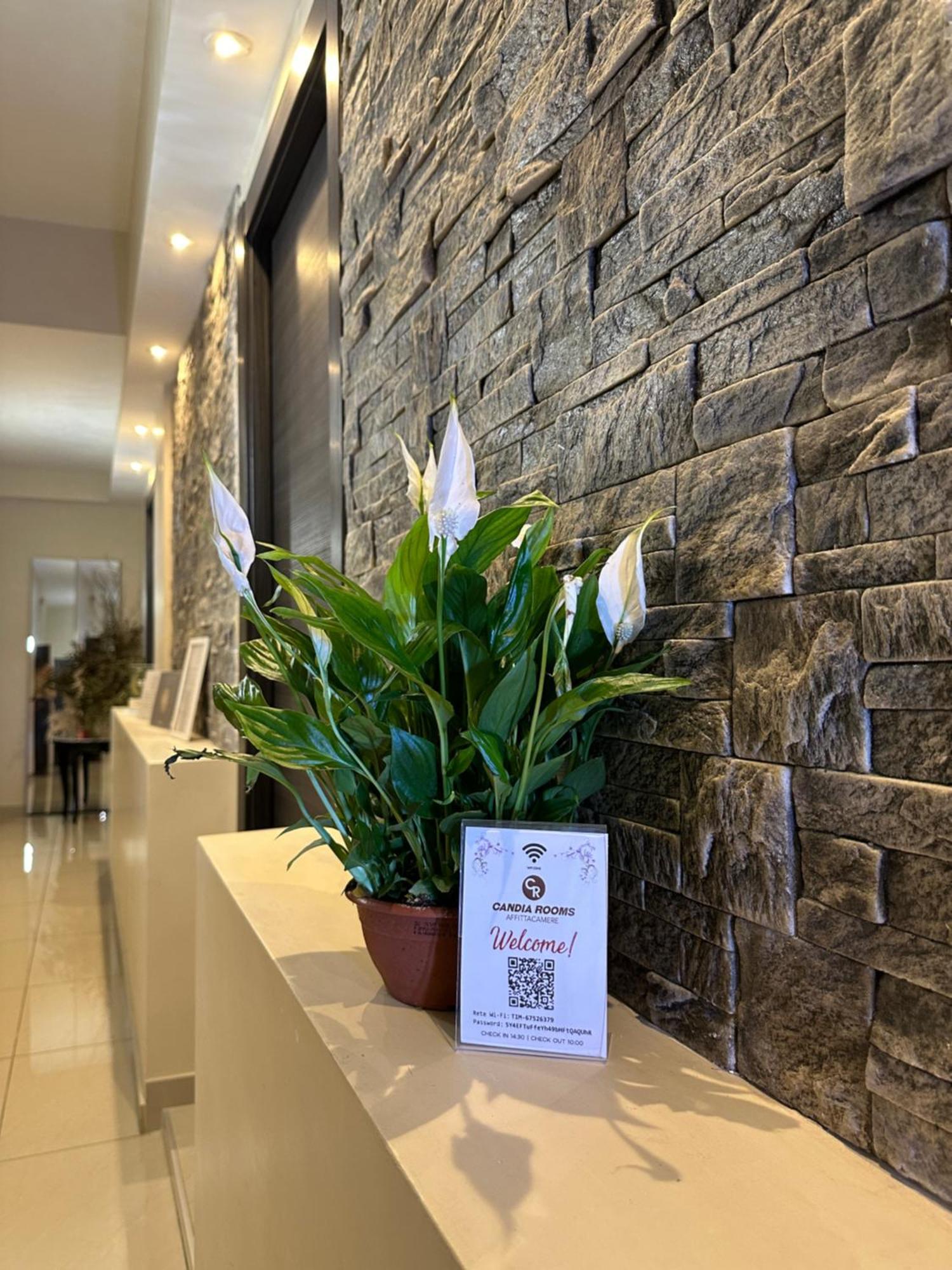 Bed and breakfast Candia Roma
