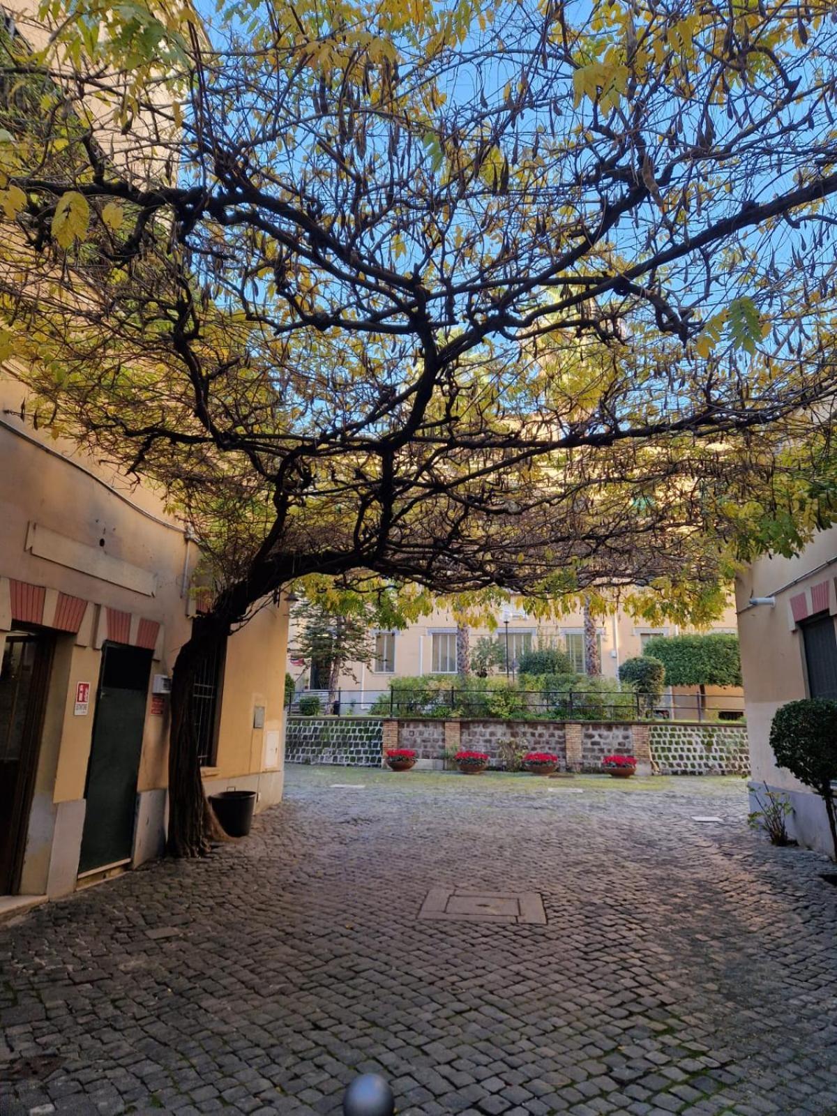Domus Adriana Ada - Adiacente Metro A Apartamento Roma