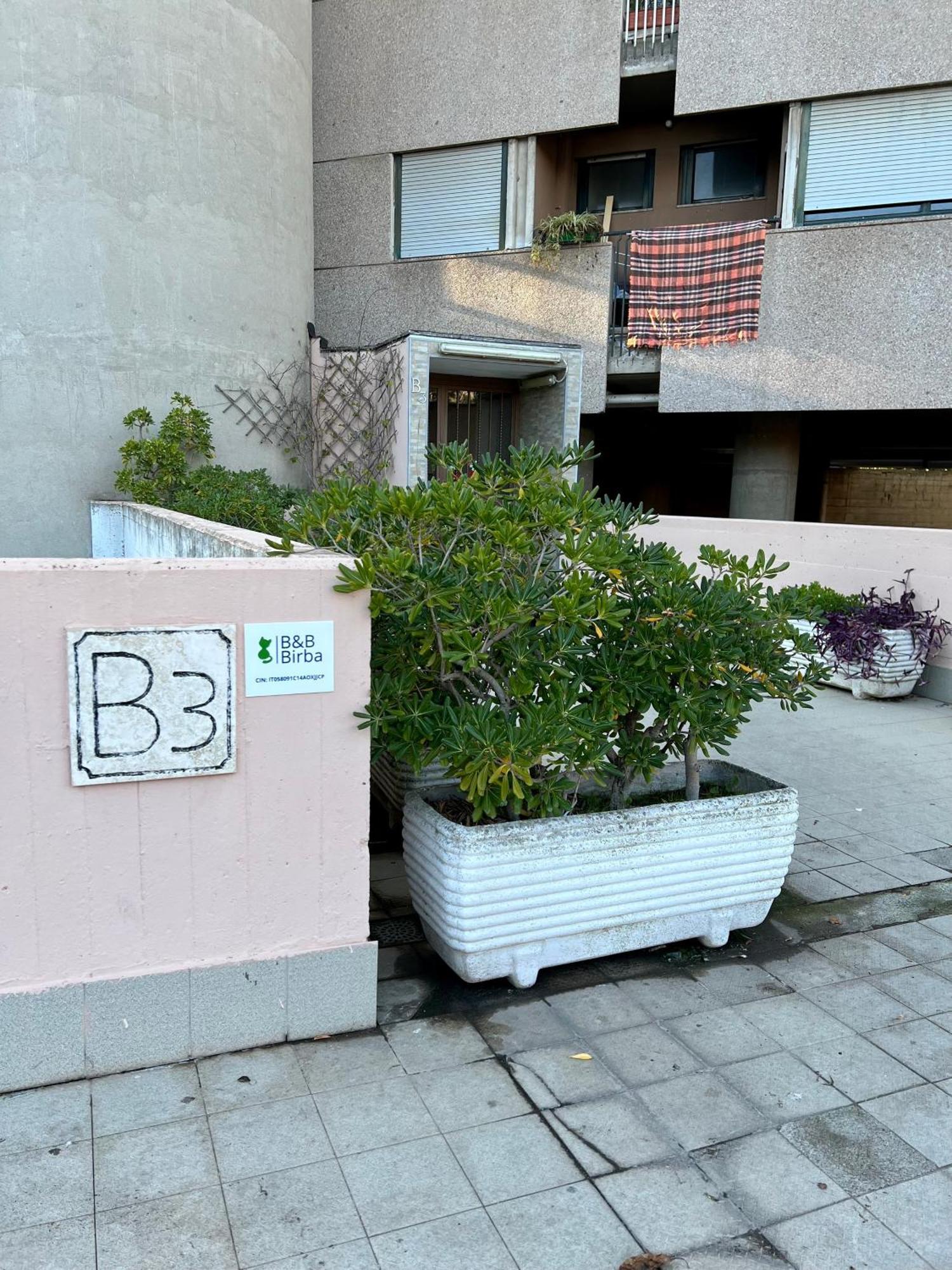 Birba 3* Roma