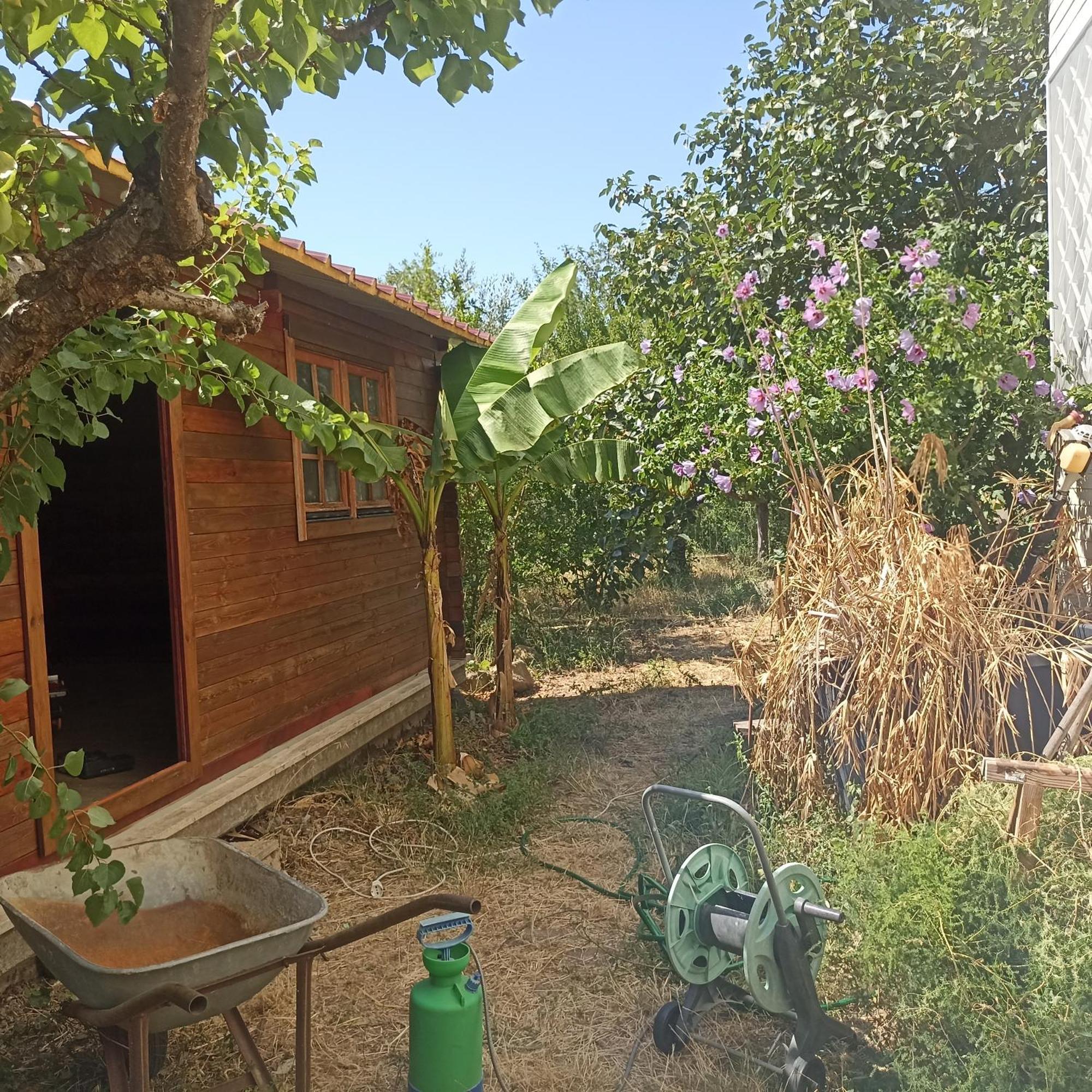 Ripe'S Forest Garden Guest House Gasthof