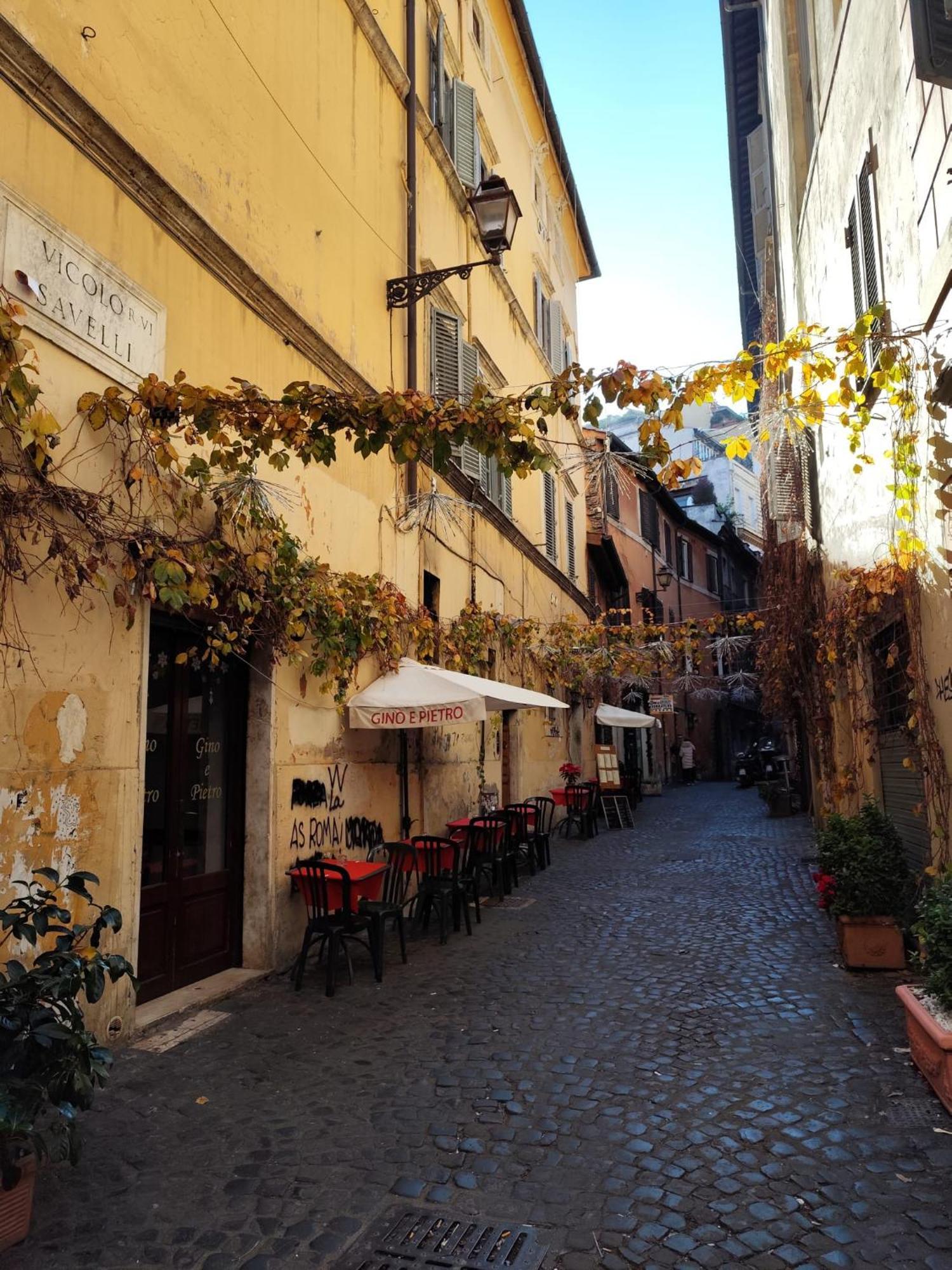 Cozy Navona *