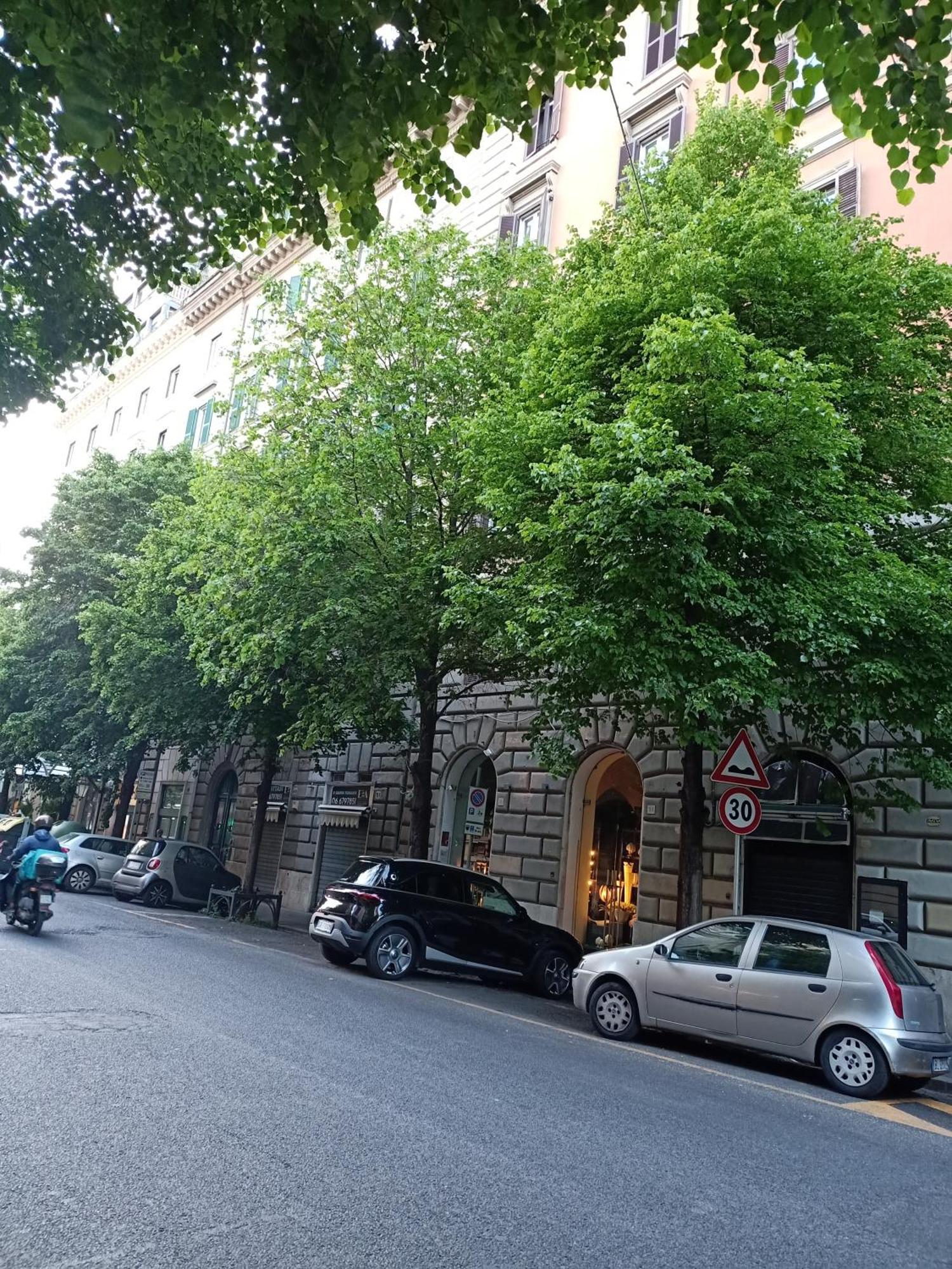 Leilighet Luxury Roma