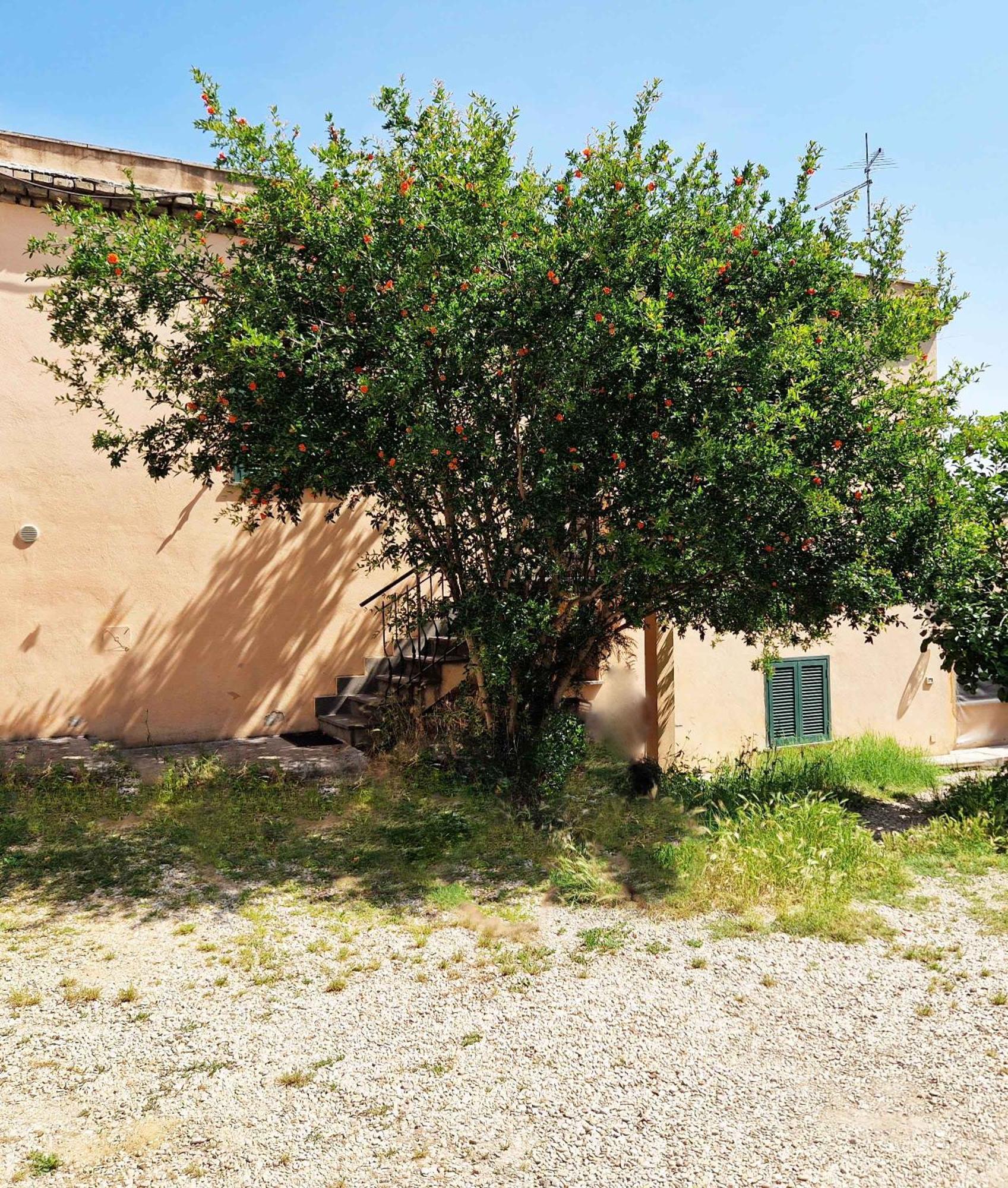 St.peter Station Apartment *