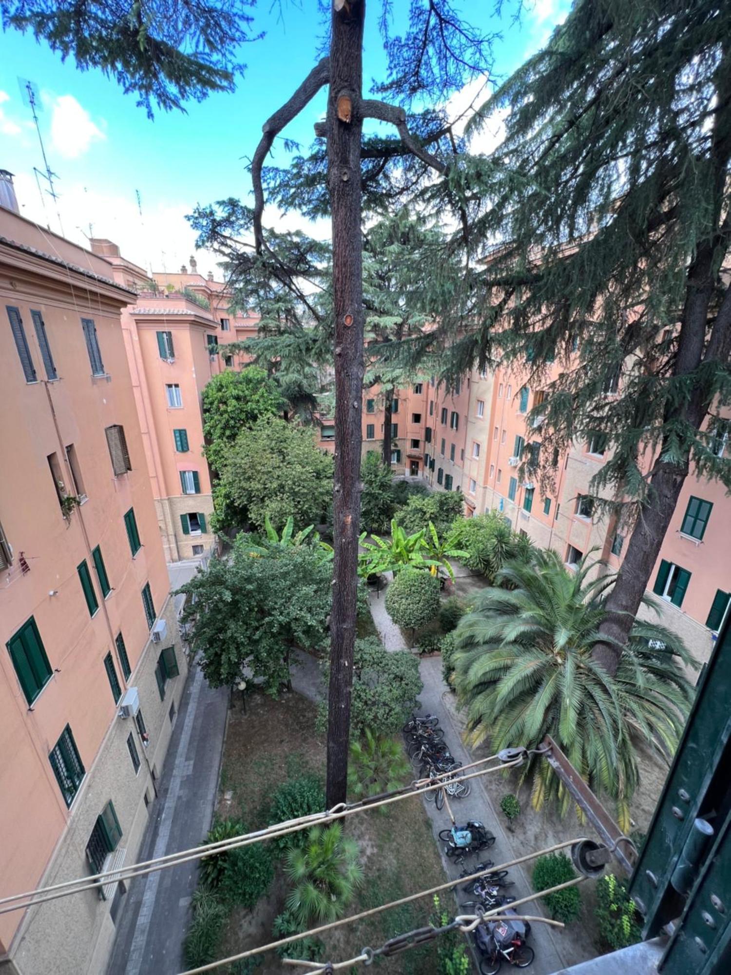 Enjoy Vatican In Roma