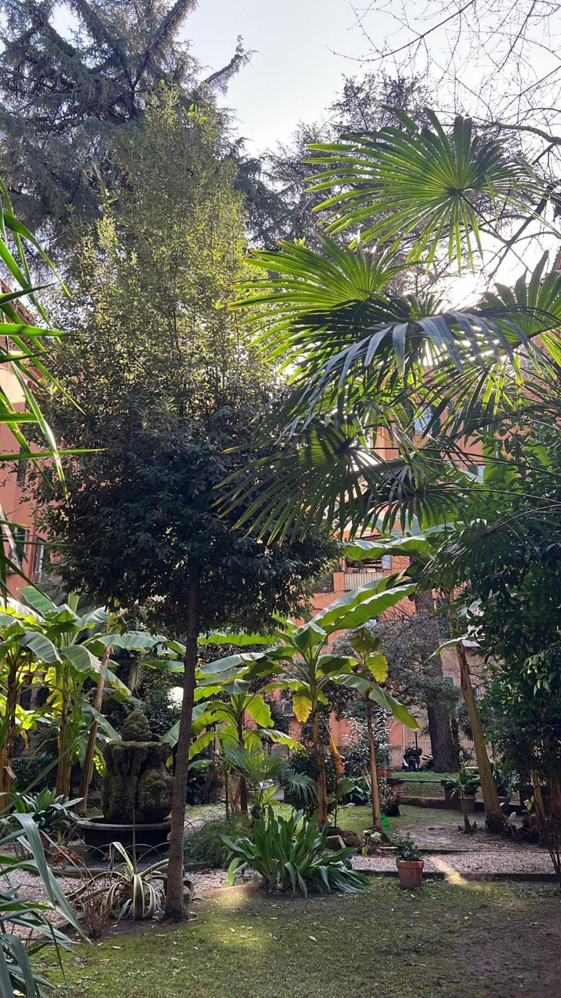 Enjoy Vatican In Apartamento Roma