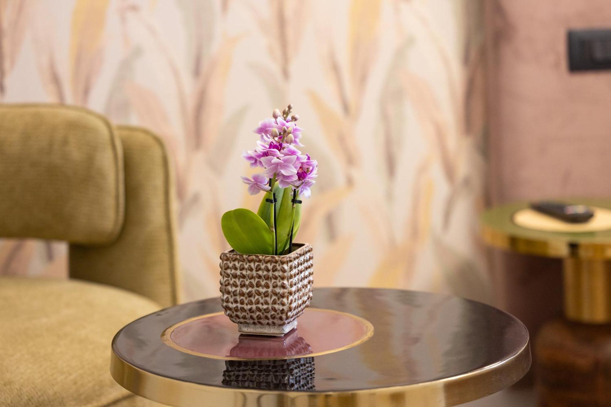 Bed & Breakfast Mavi Luxury Roma