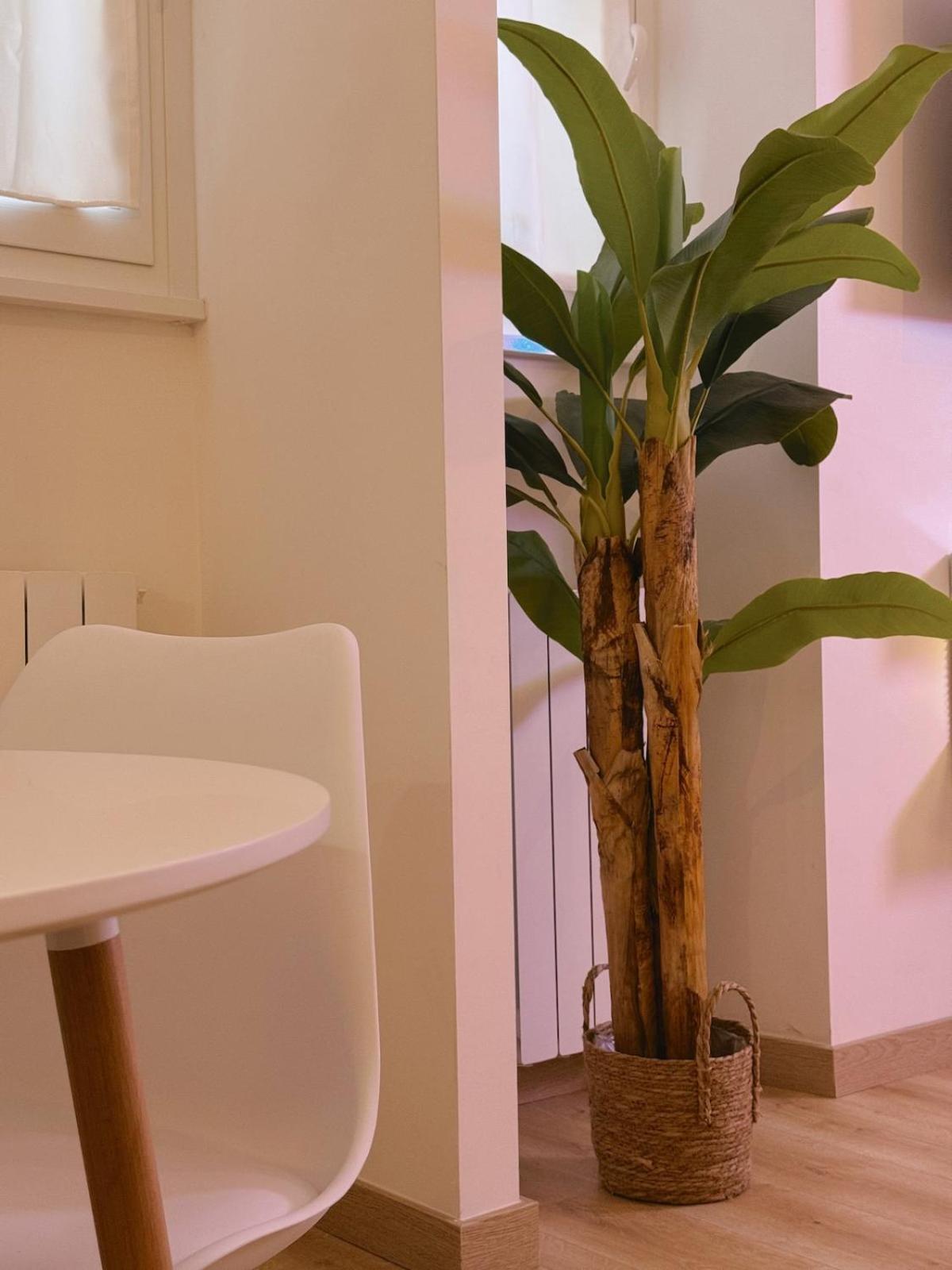 Appartamento Vacanze Romane House