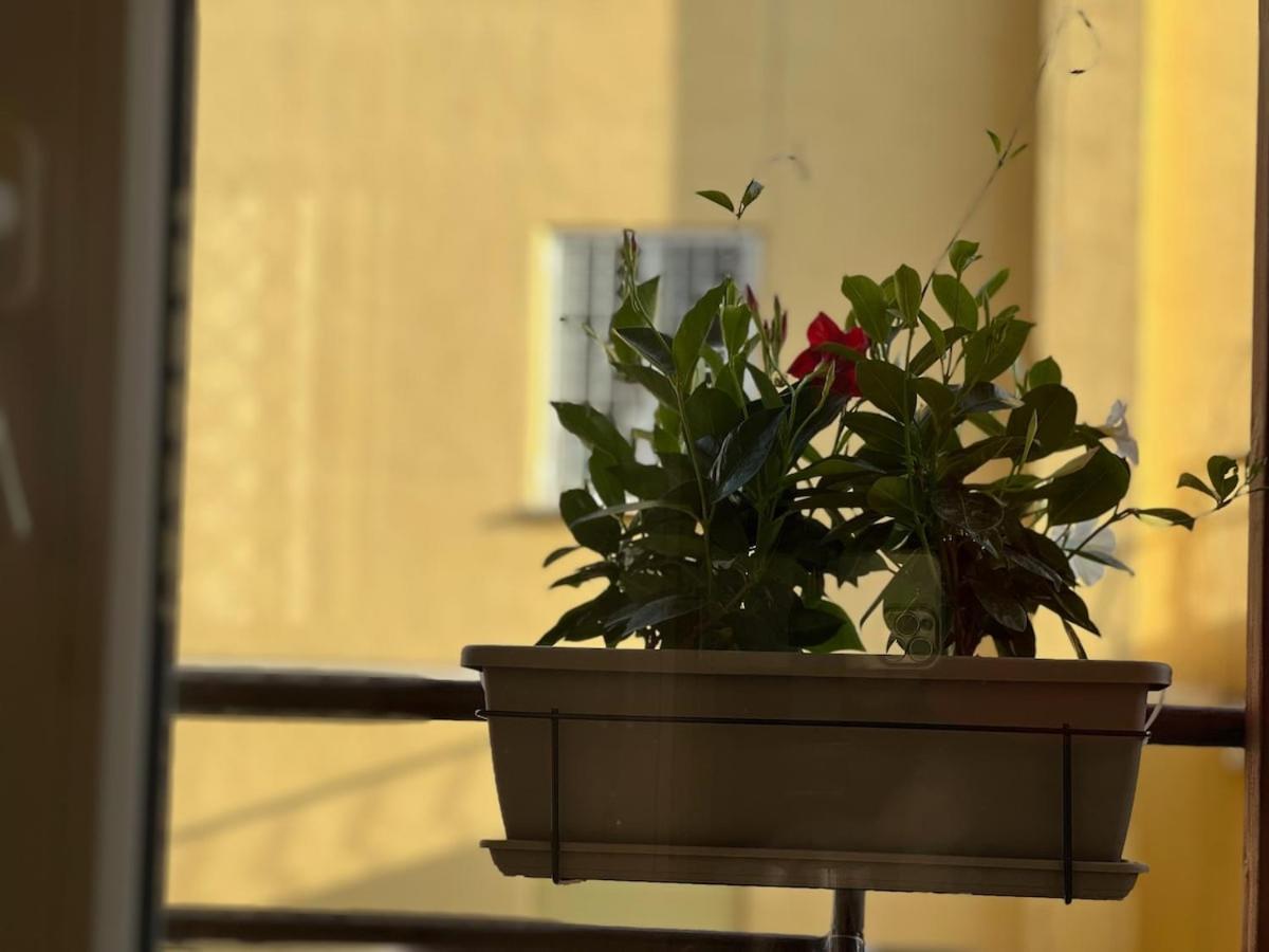 Artpa Gianicolo, Apartamento Roma